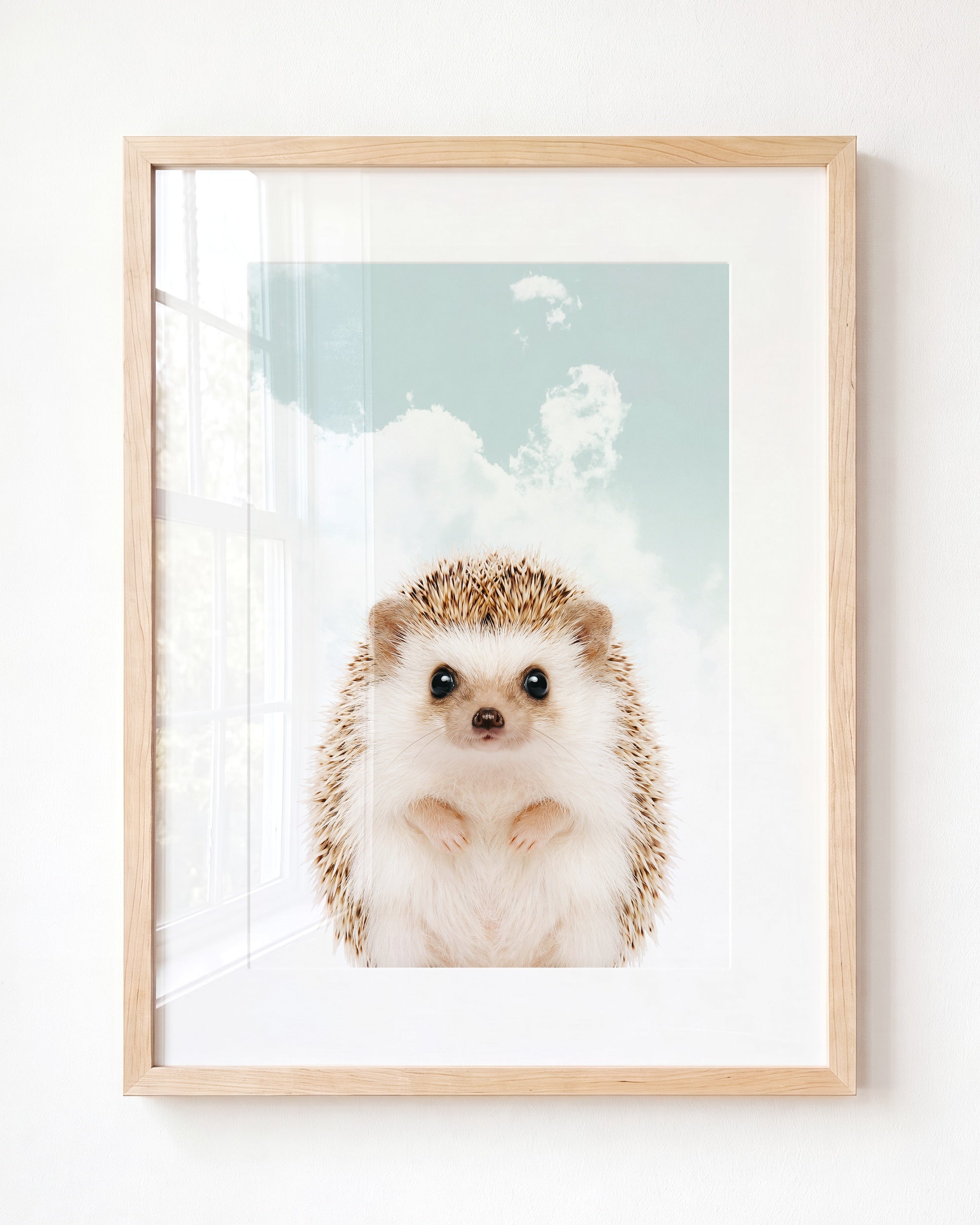 Baby Hedgehog