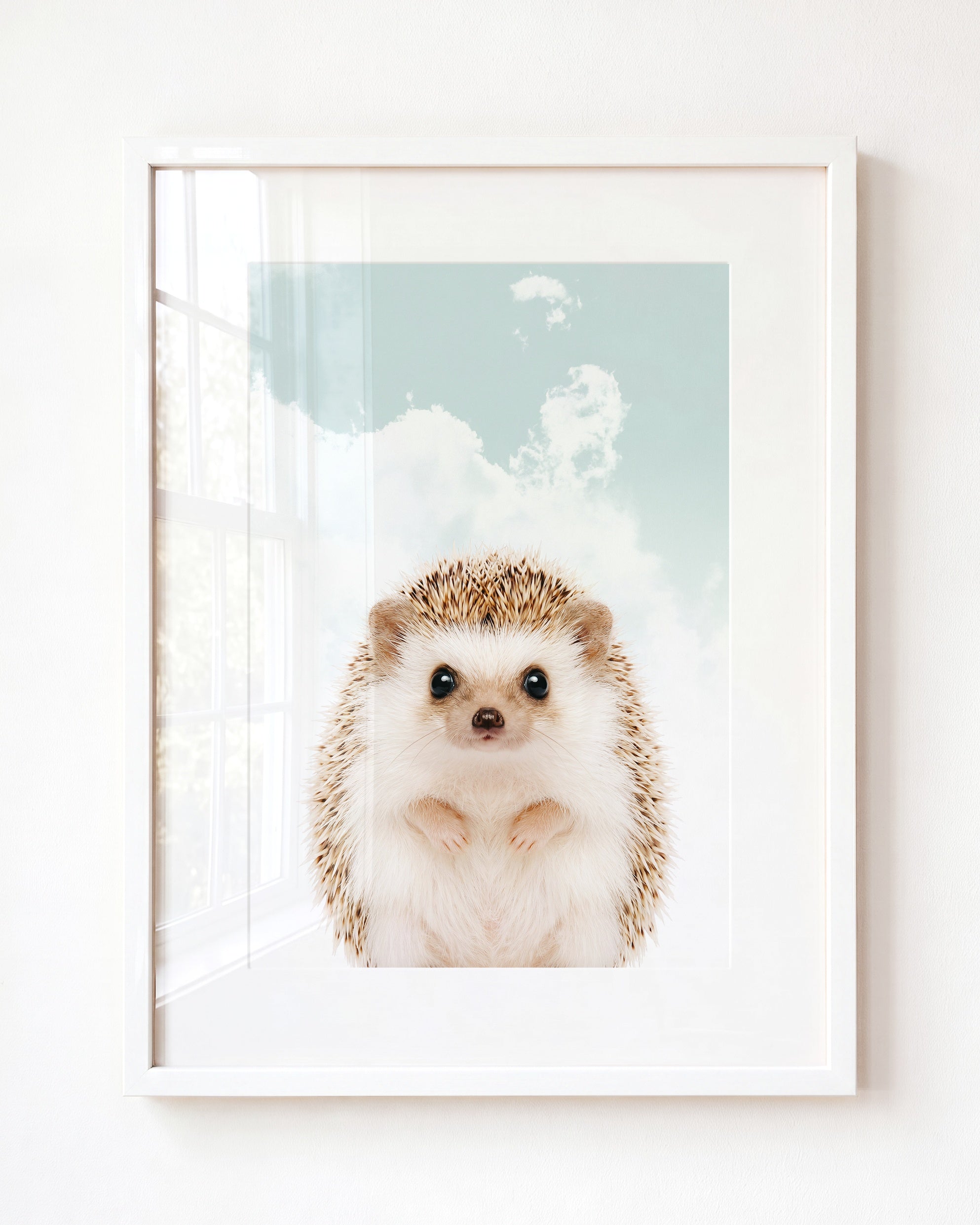 Baby Hedgehog