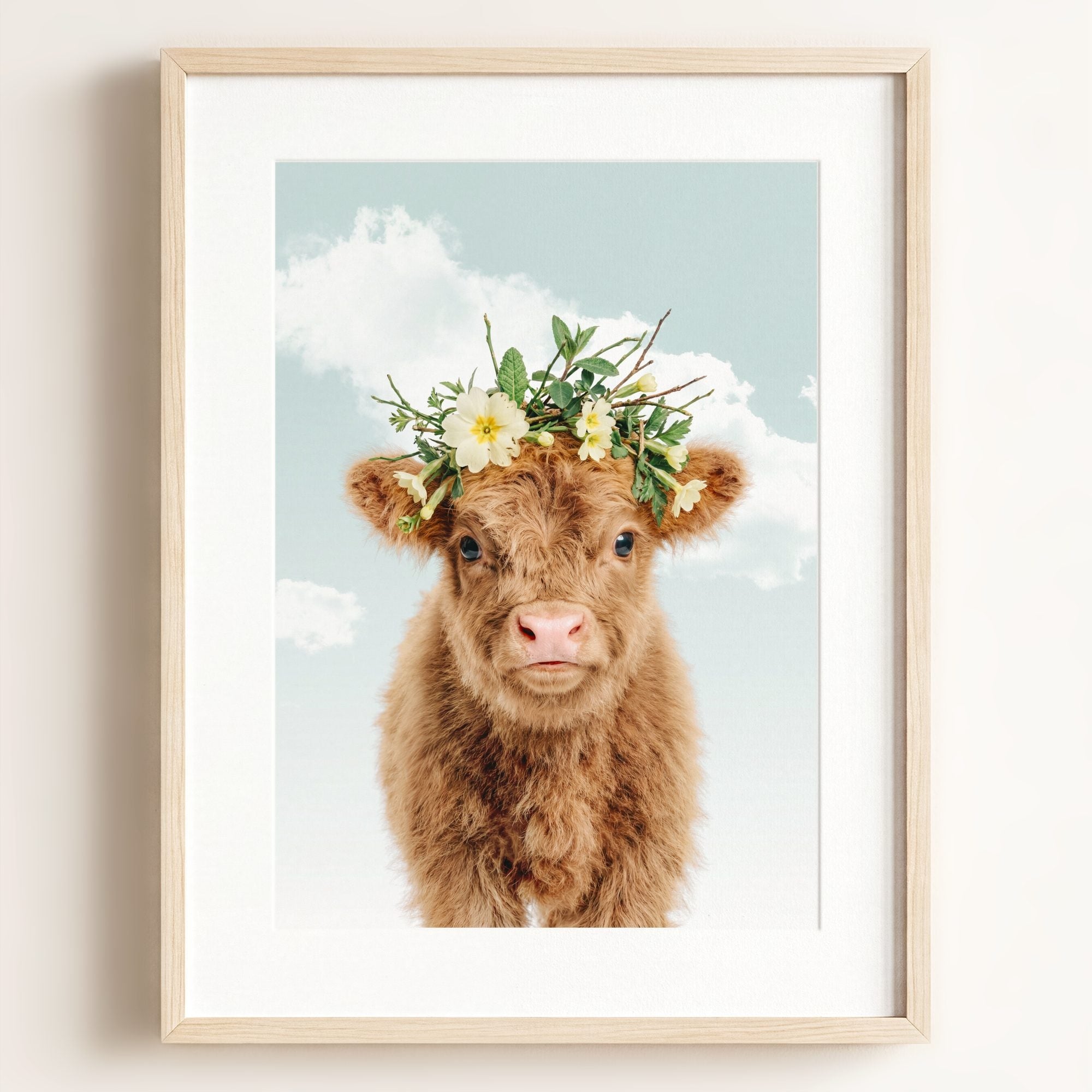 Baby Highland Cow