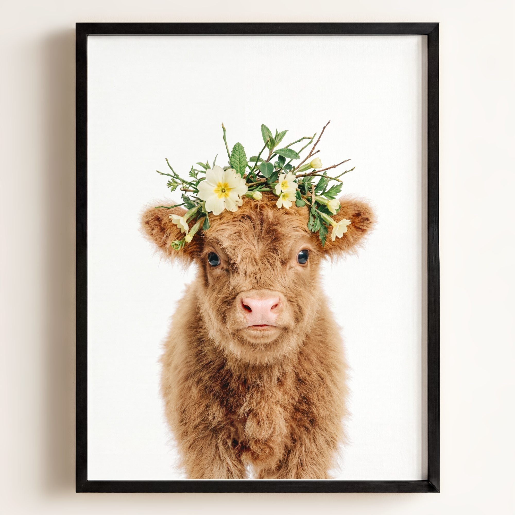 Baby Highland Cow