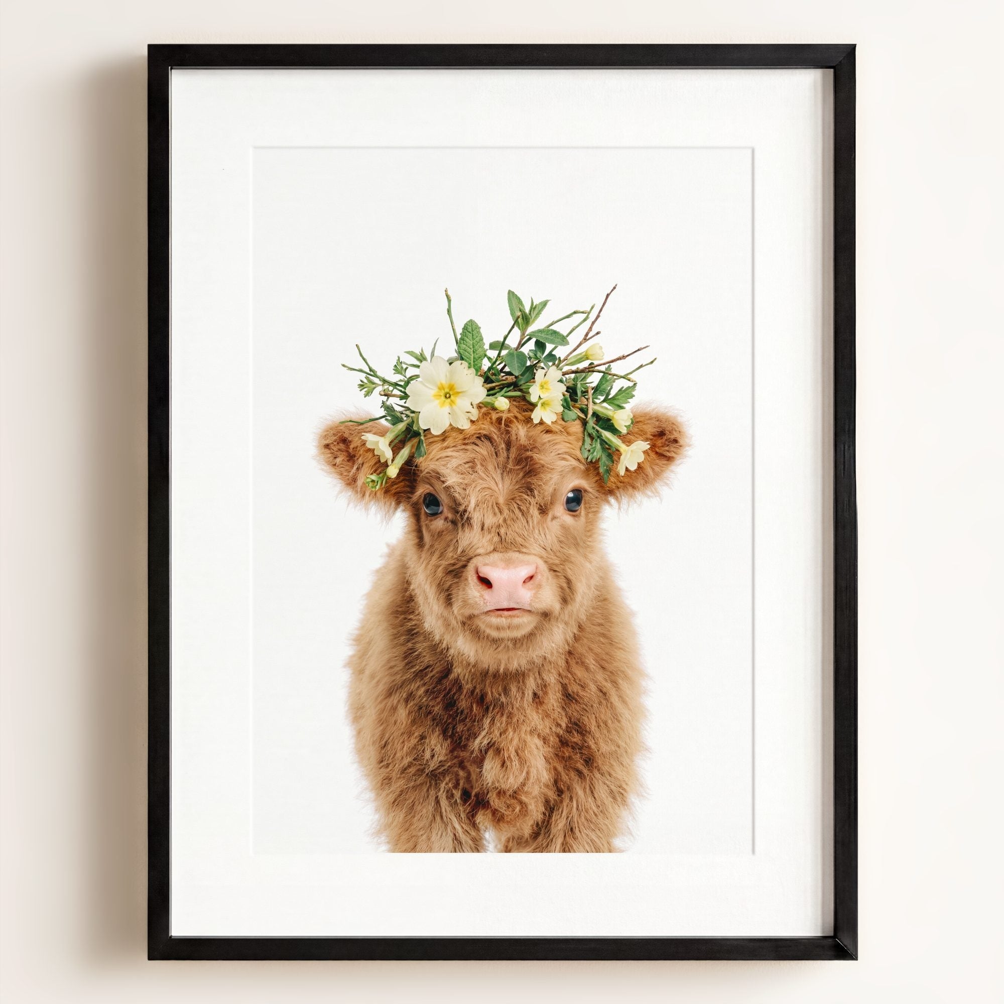 Baby Highland Cow