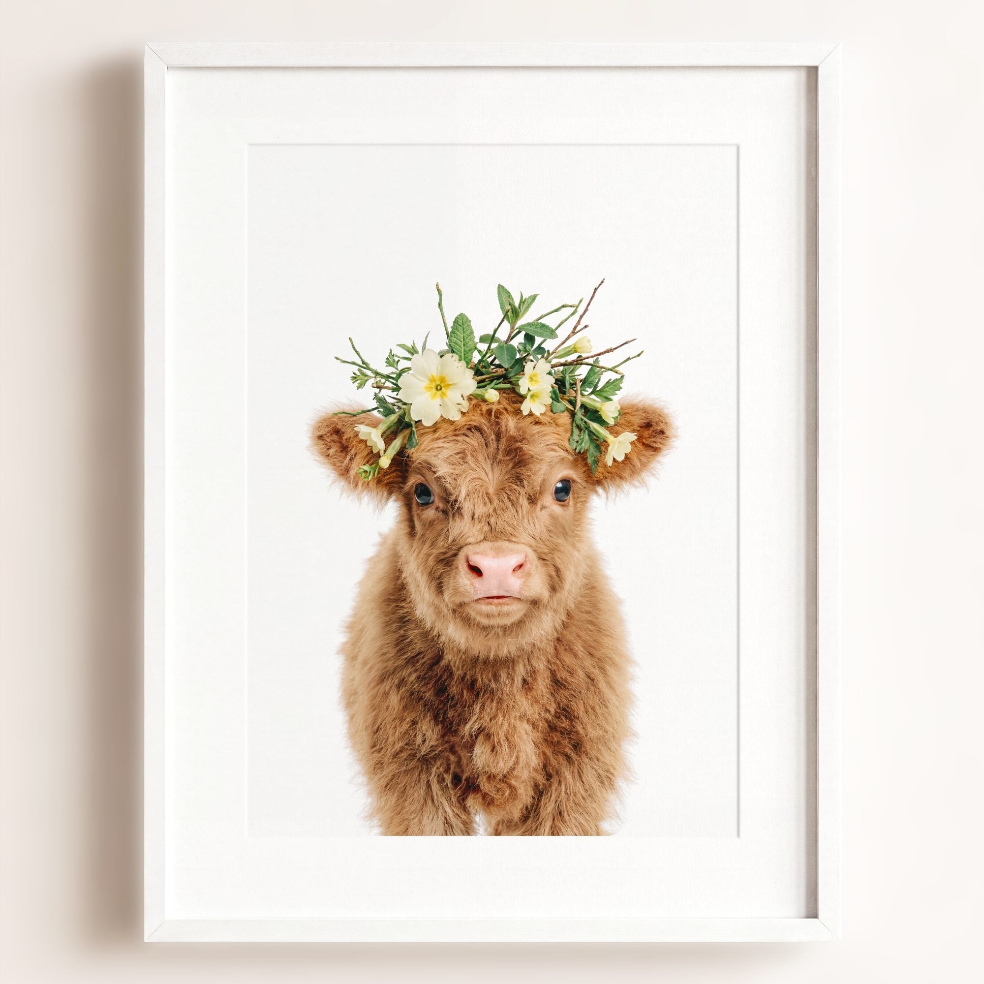 Baby Highland Cow