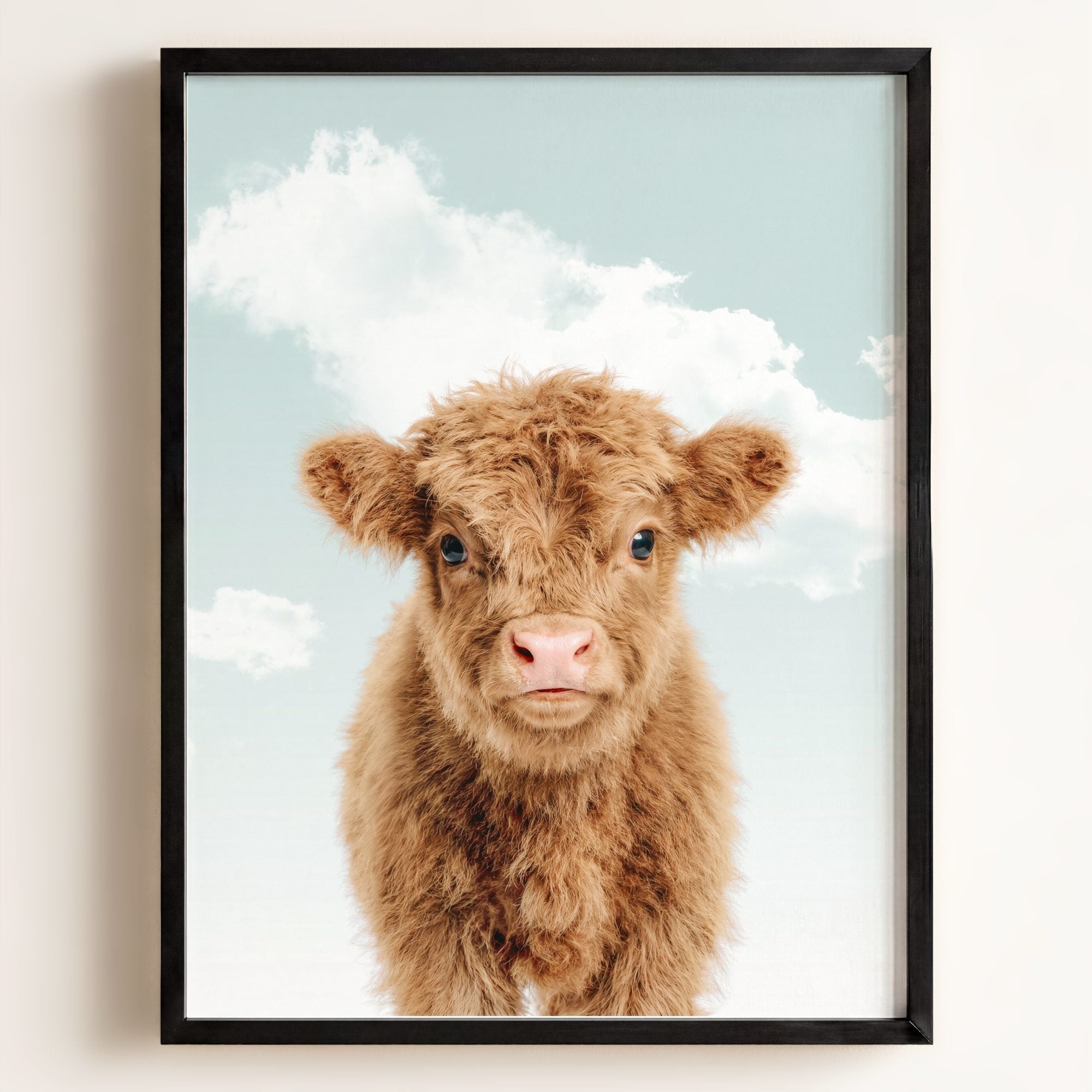 Baby Highland Cow