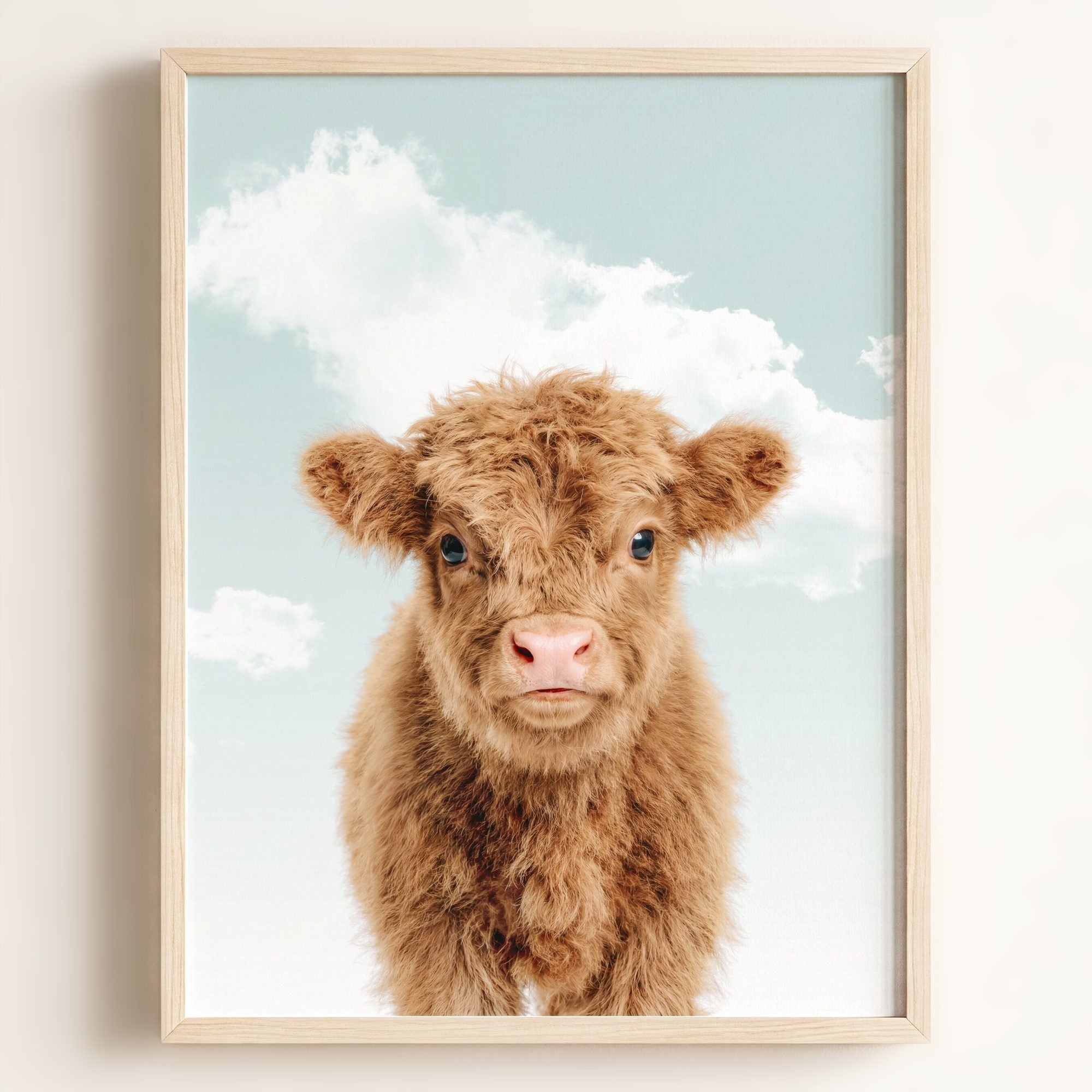 Baby Highland Cow