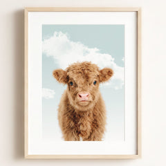 Baby Highland Cow