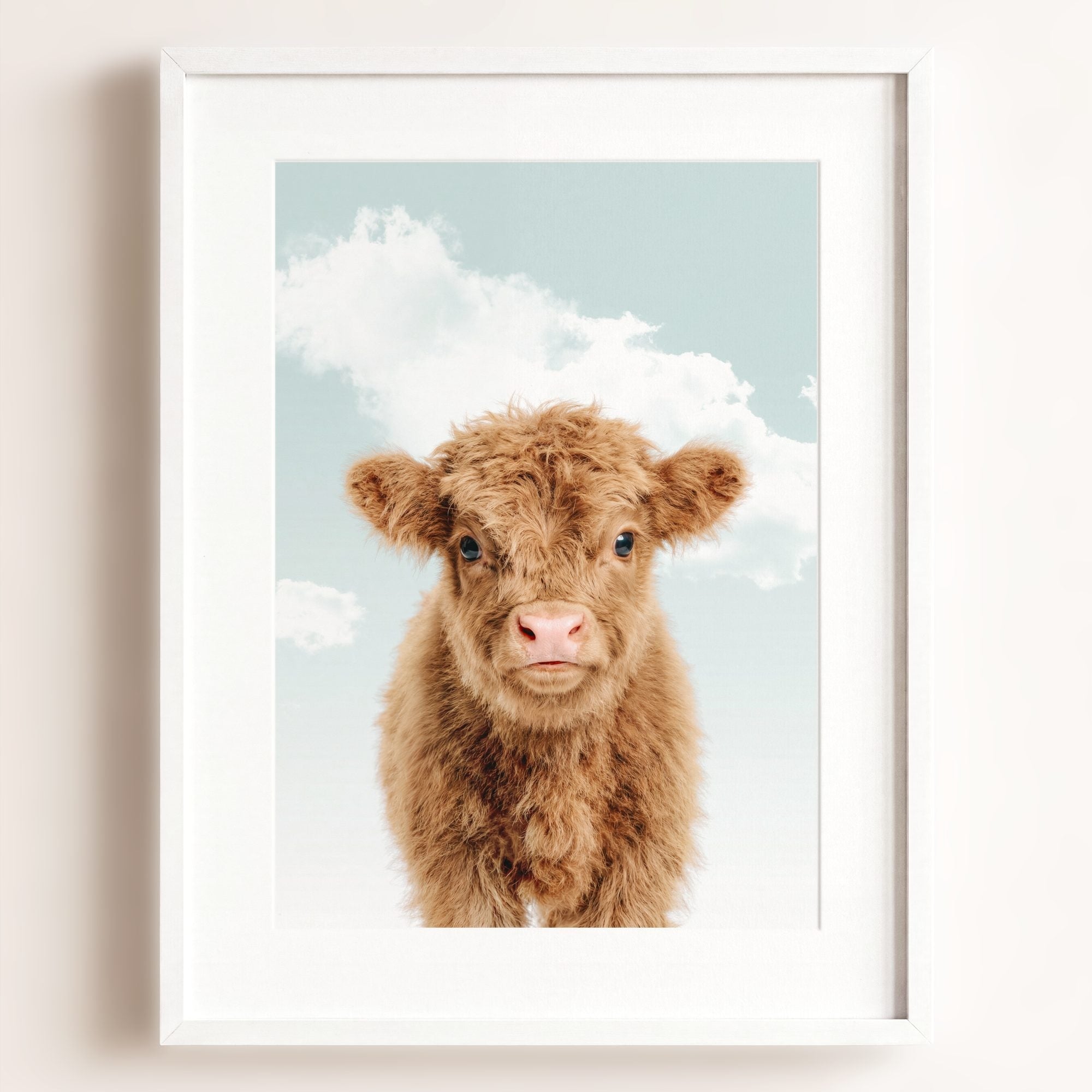 Baby Highland Cow
