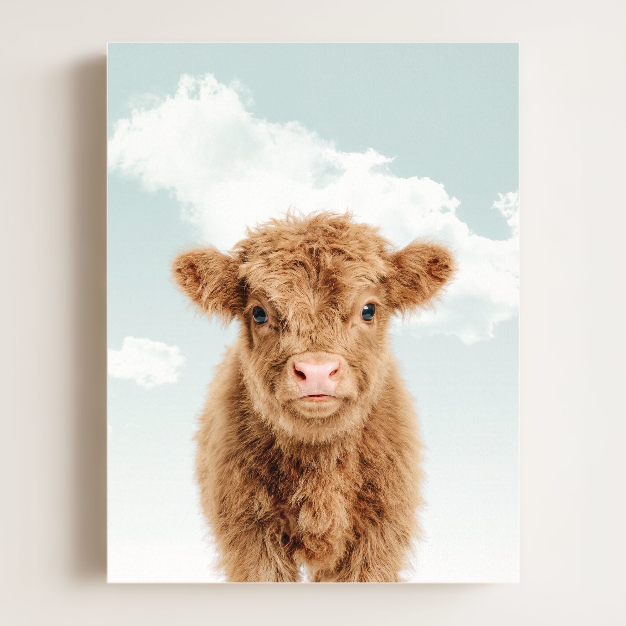 Baby Highland Cow