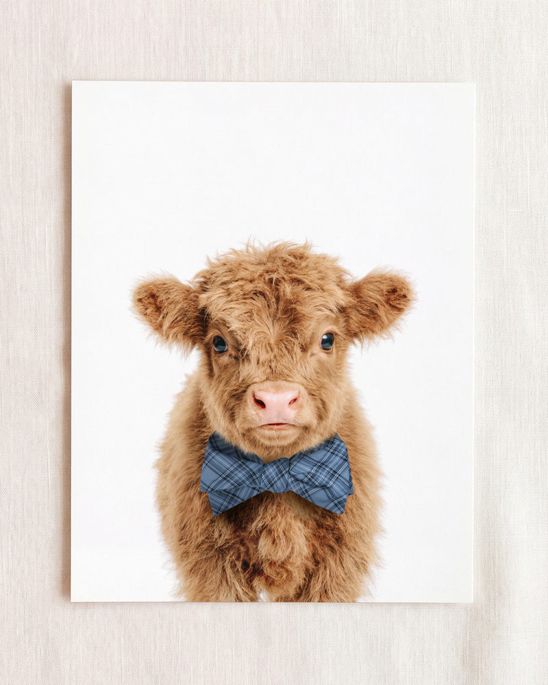 Bow Tie Cornflower
