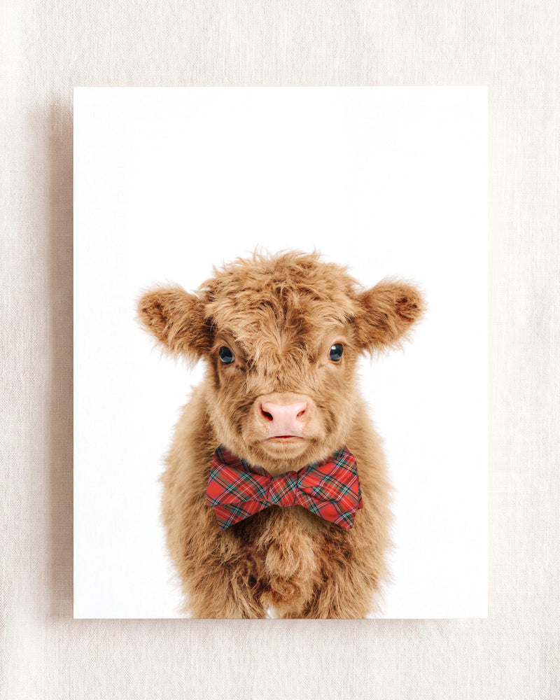 Bow Tie
