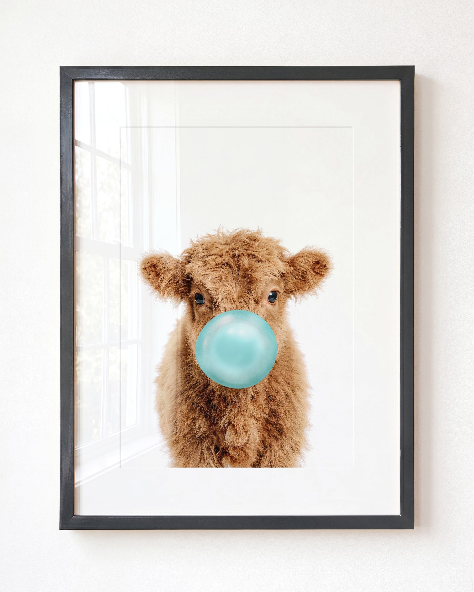 Baby Highland Cow