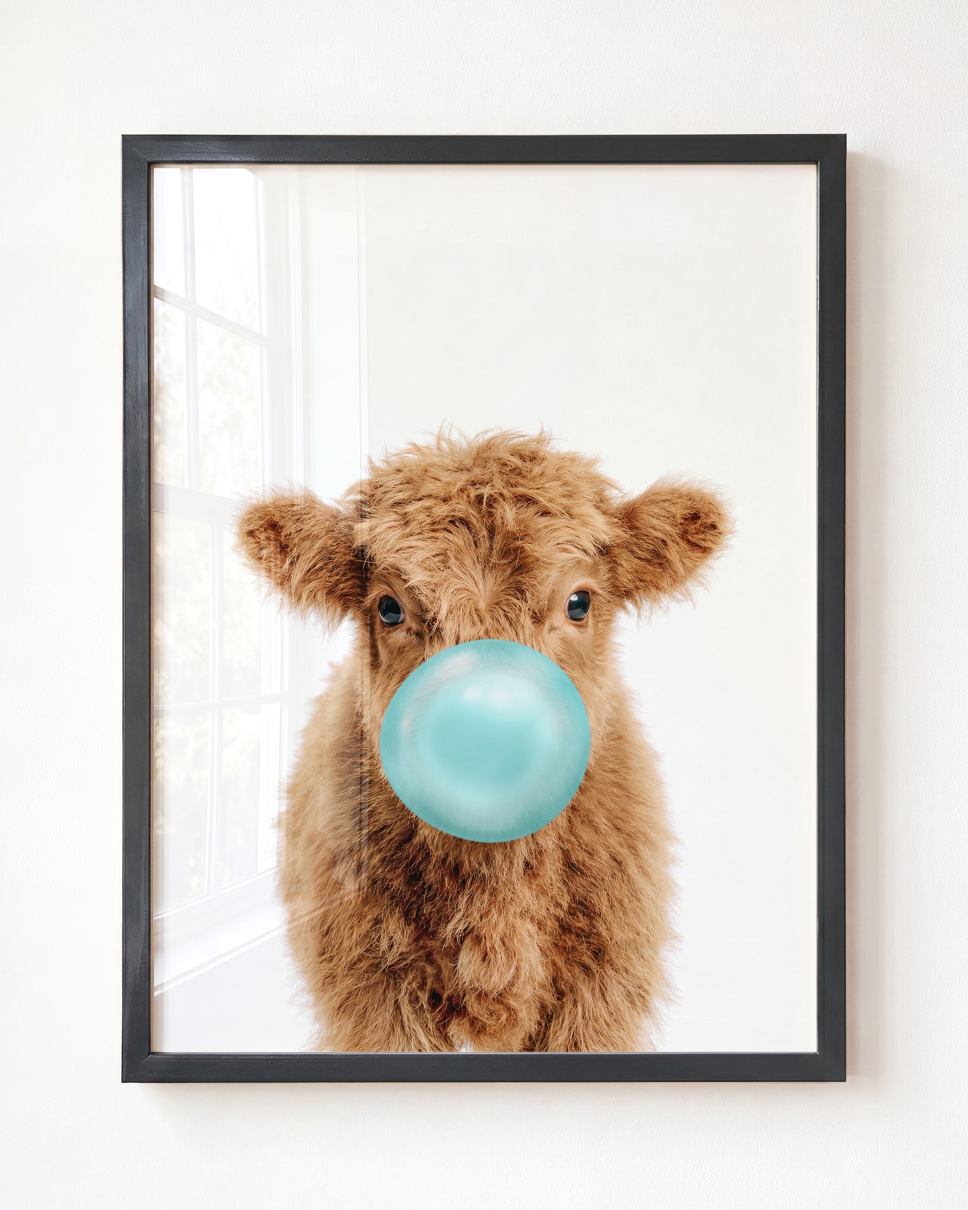 Baby Highland Cow