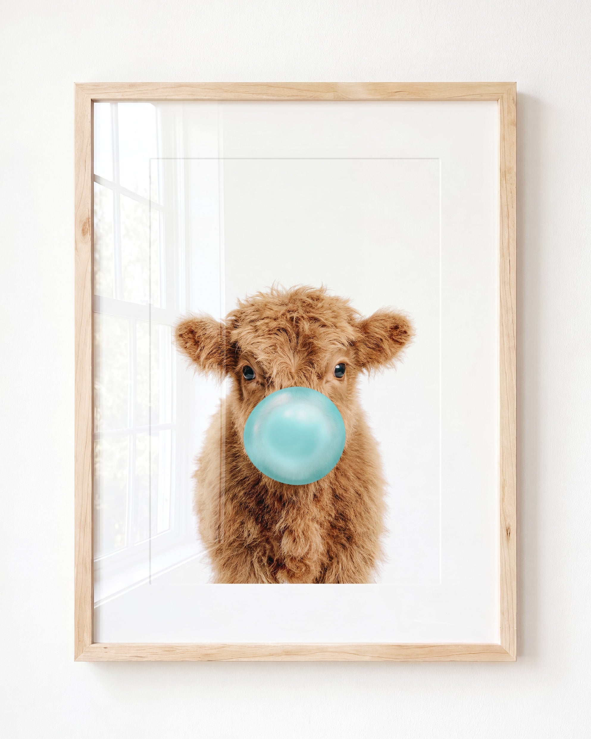 Baby Highland Cow