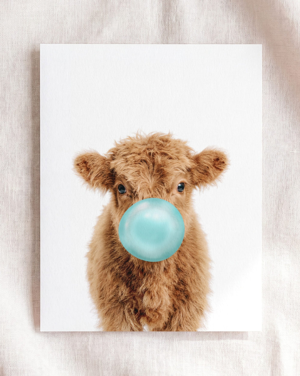 Baby Highland Cow