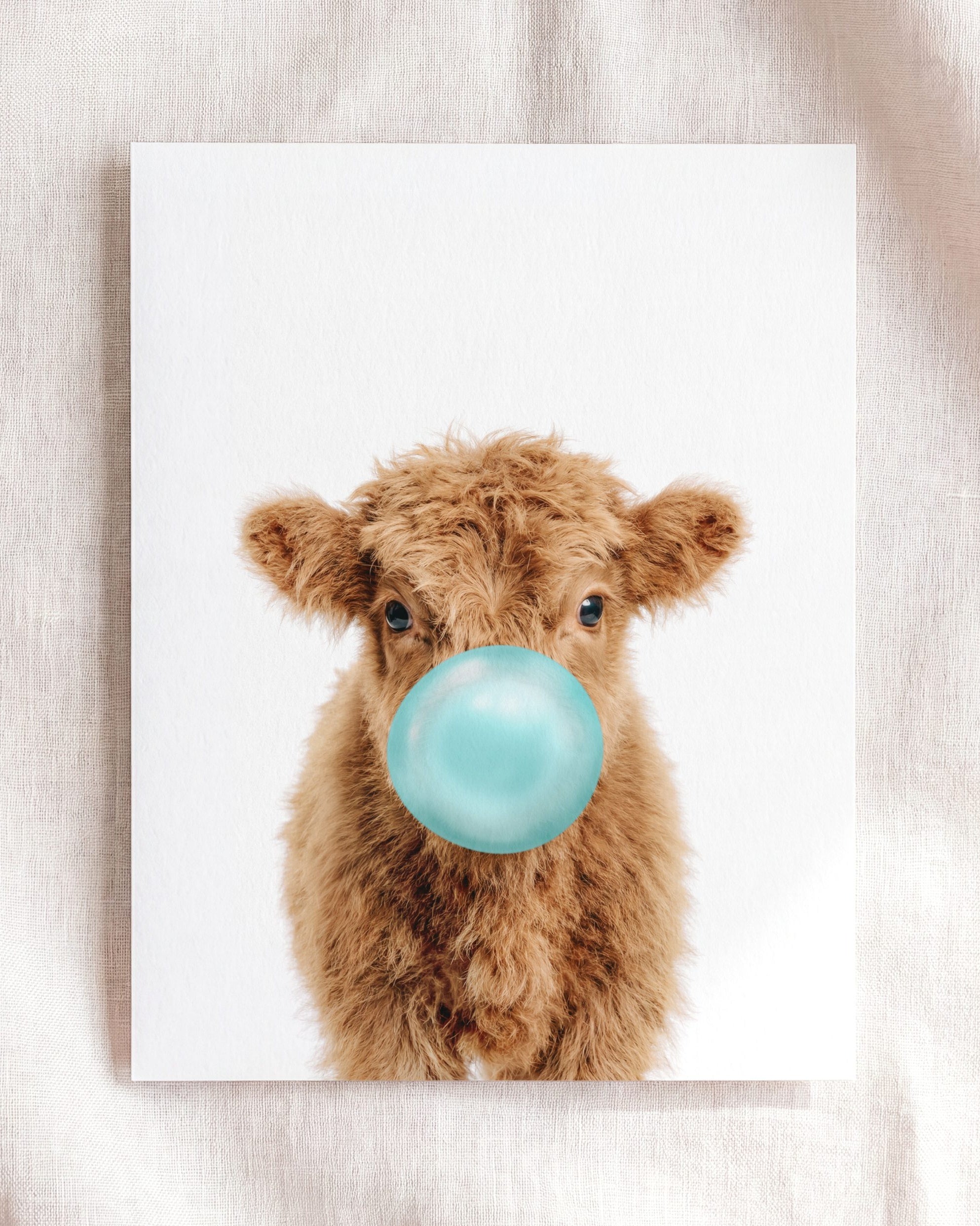 Baby Highland Cow