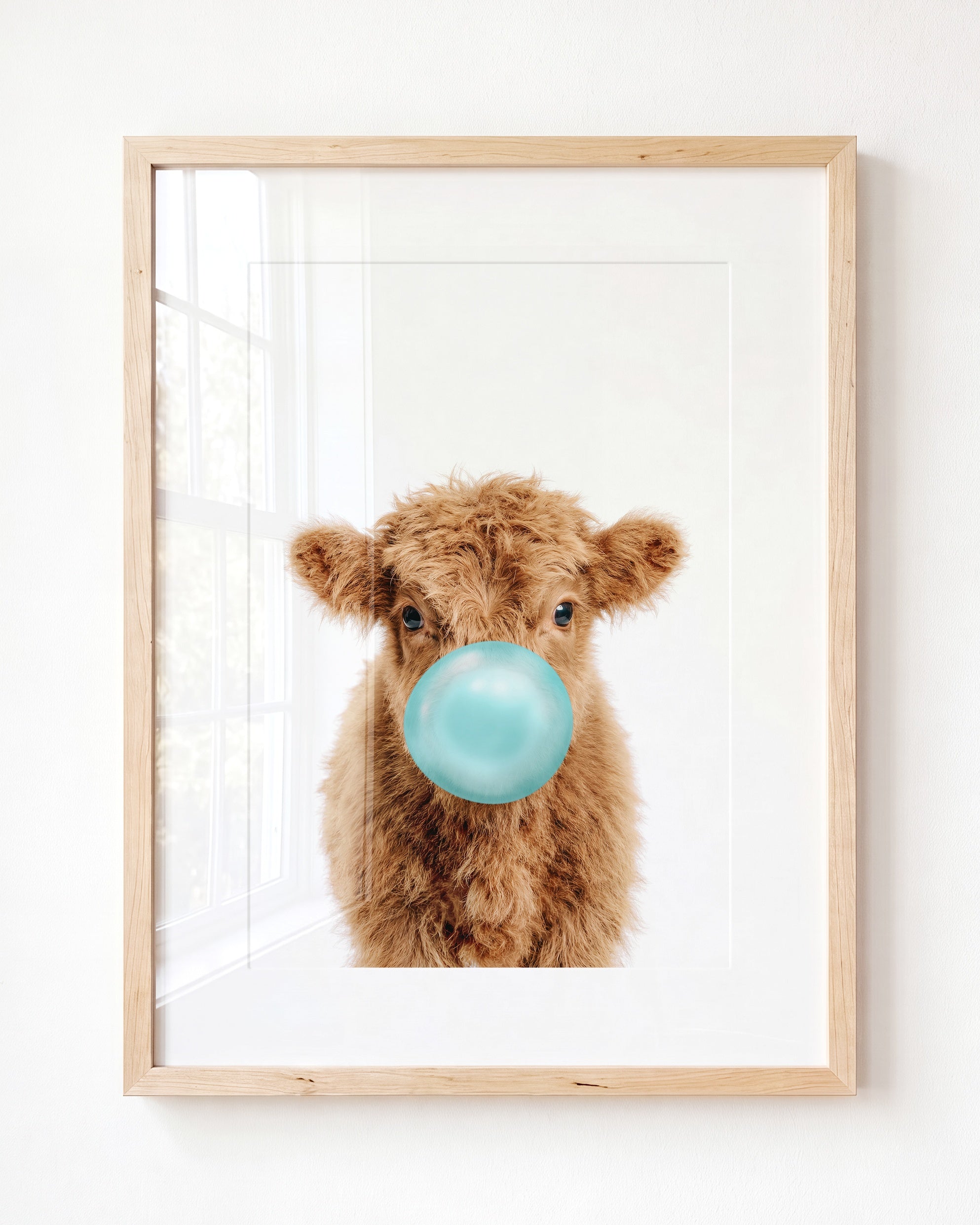Baby Highland Cow
