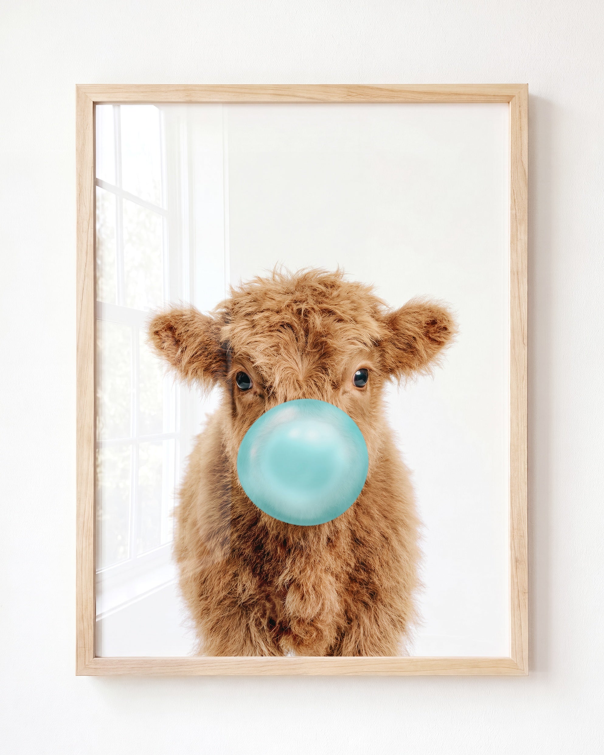 Baby Highland Cow