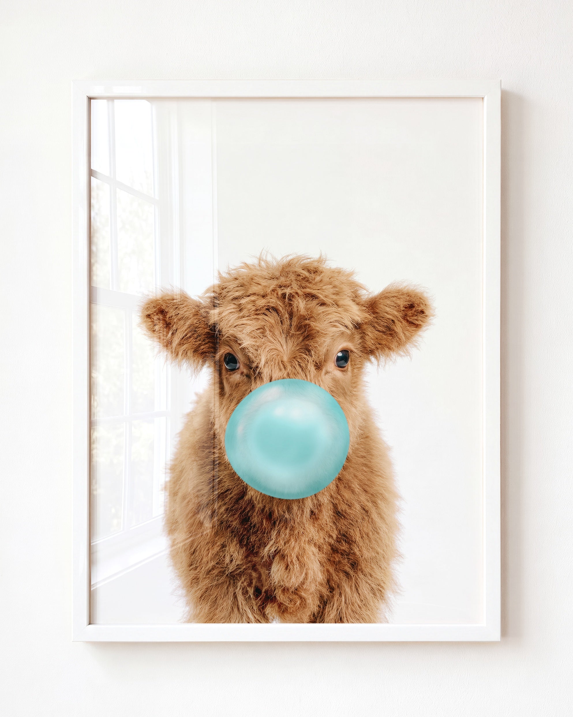 Baby Highland Cow