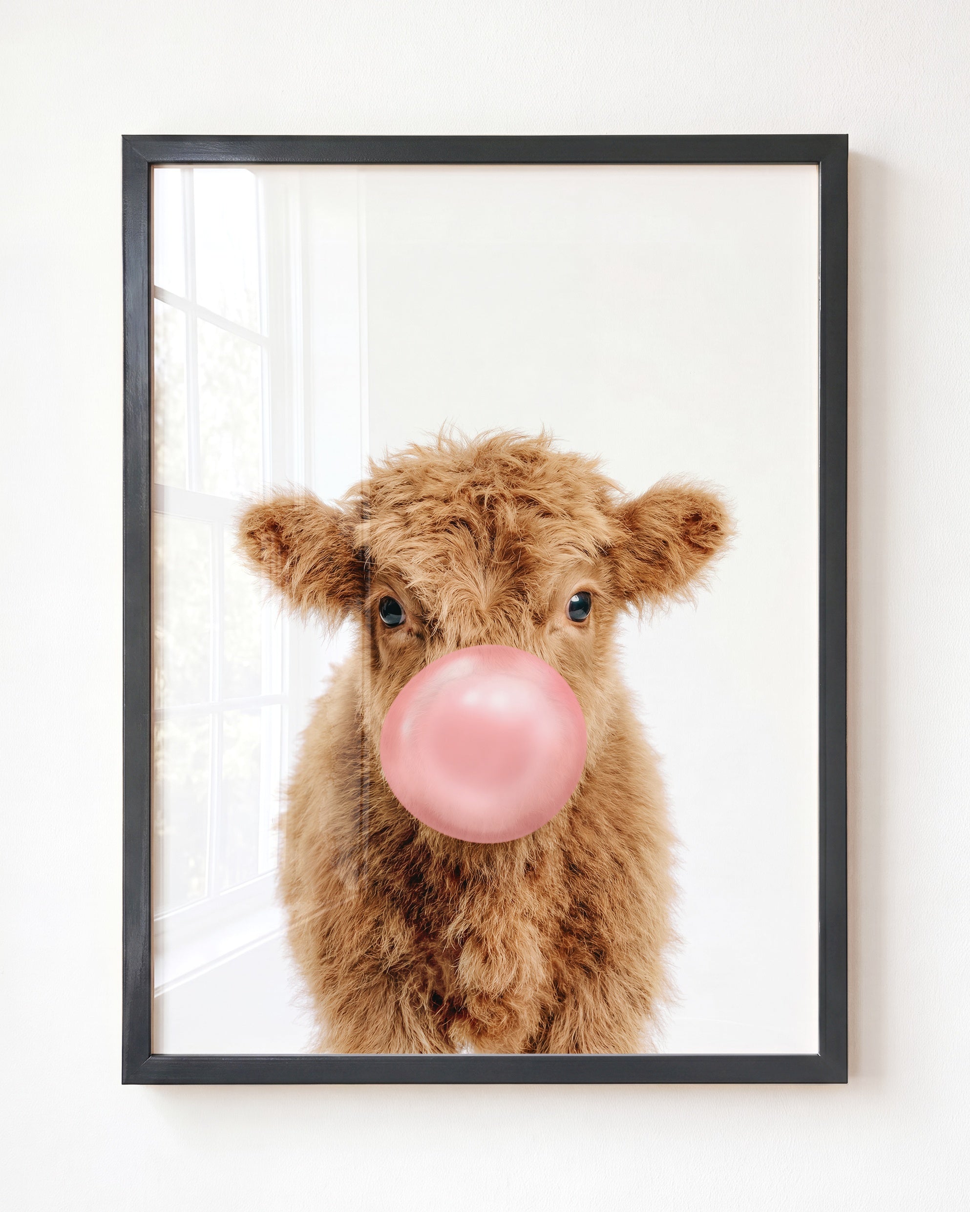 Baby Highland Cow