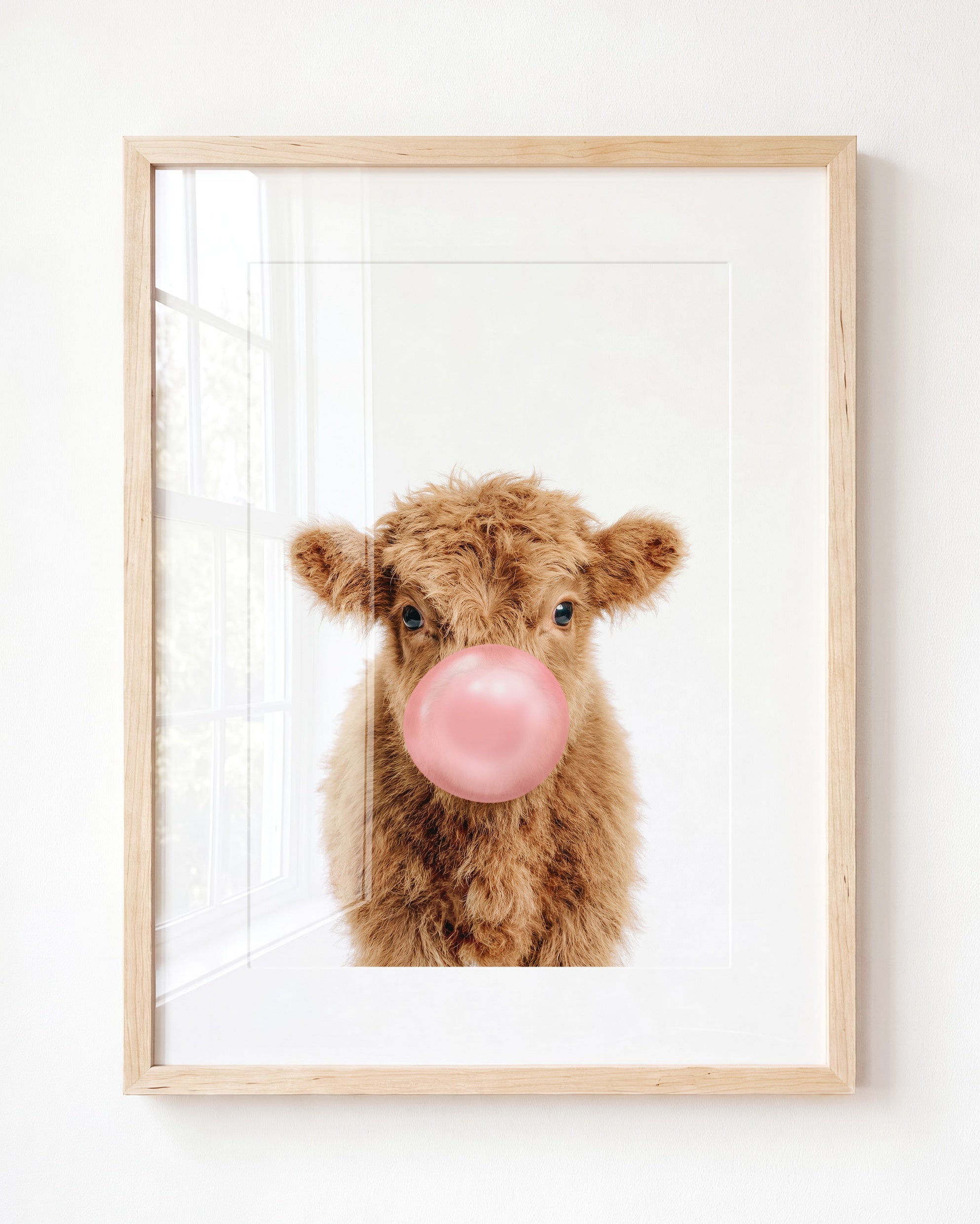 Baby Highland Cow