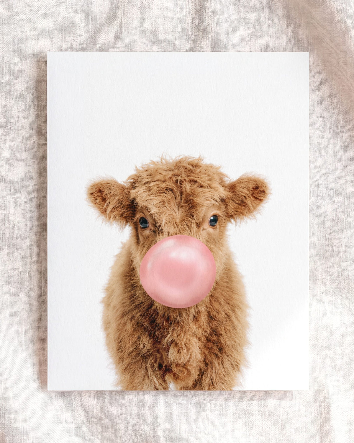 Baby Highland Cow