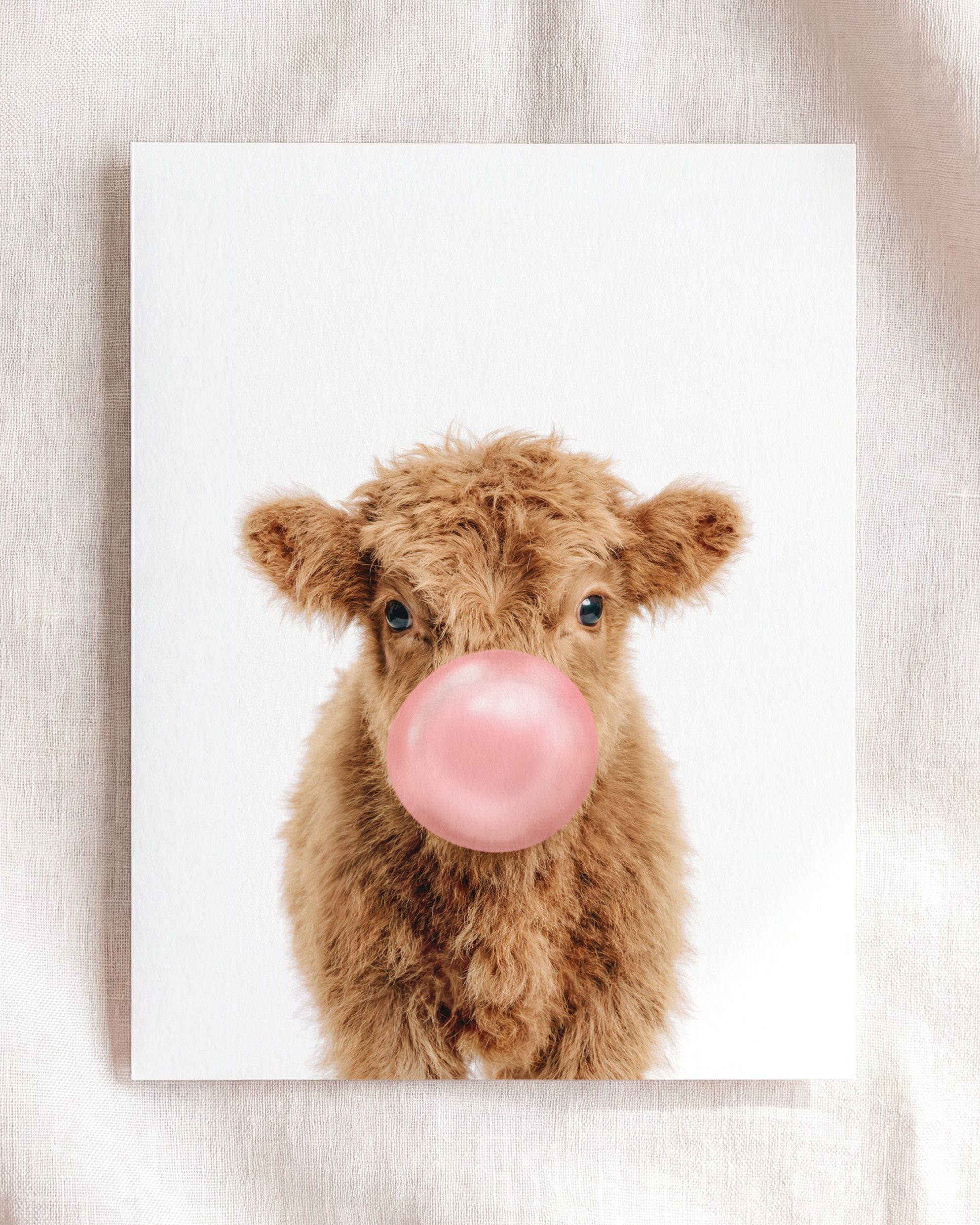 Baby Highland Cow