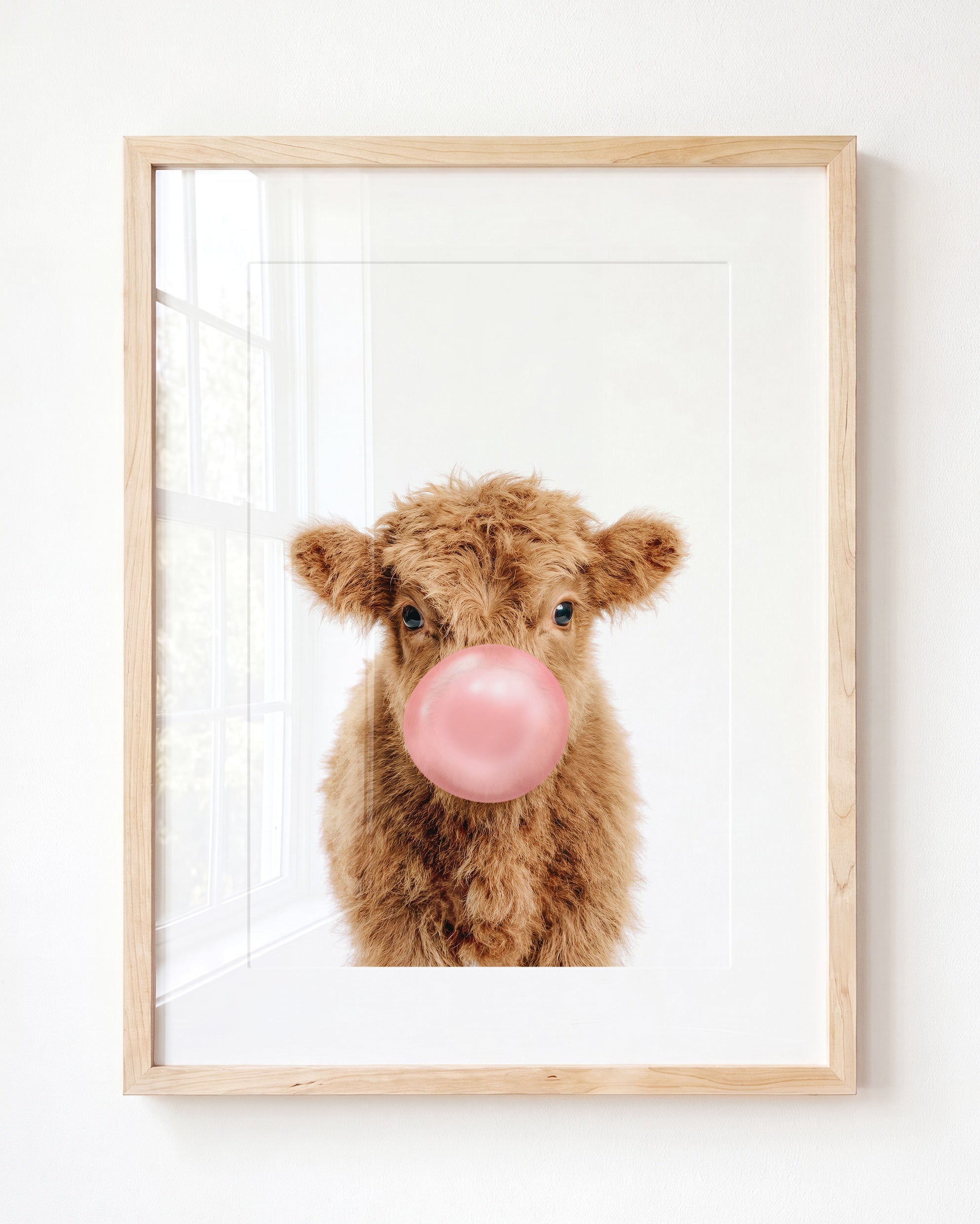 Baby Highland Cow