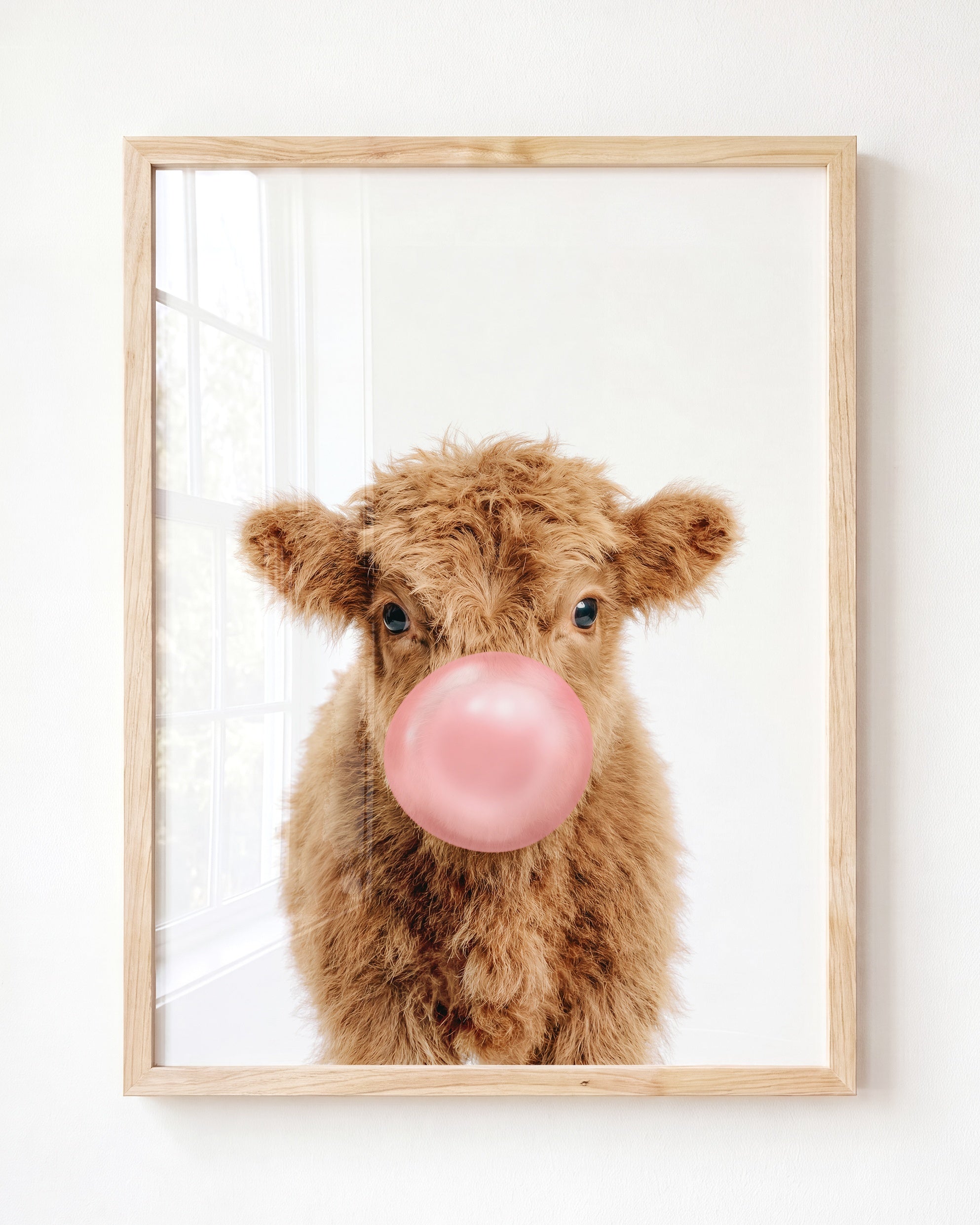 Baby Highland Cow