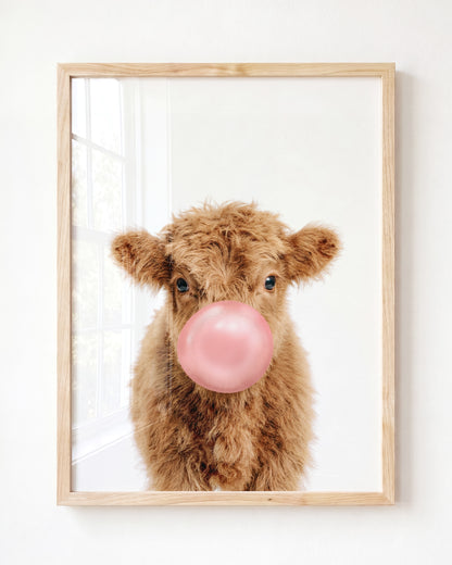 Baby Highland Cow