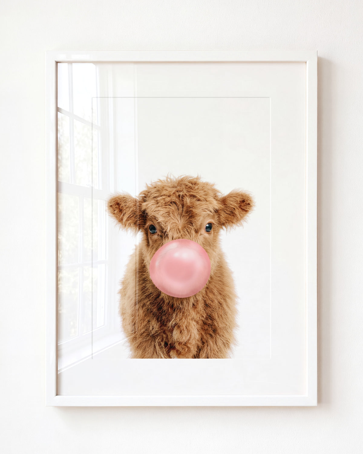 Baby Highland Cow