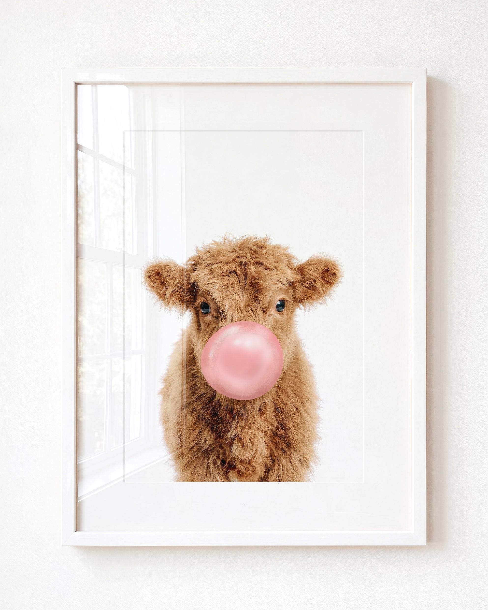Baby Highland Cow