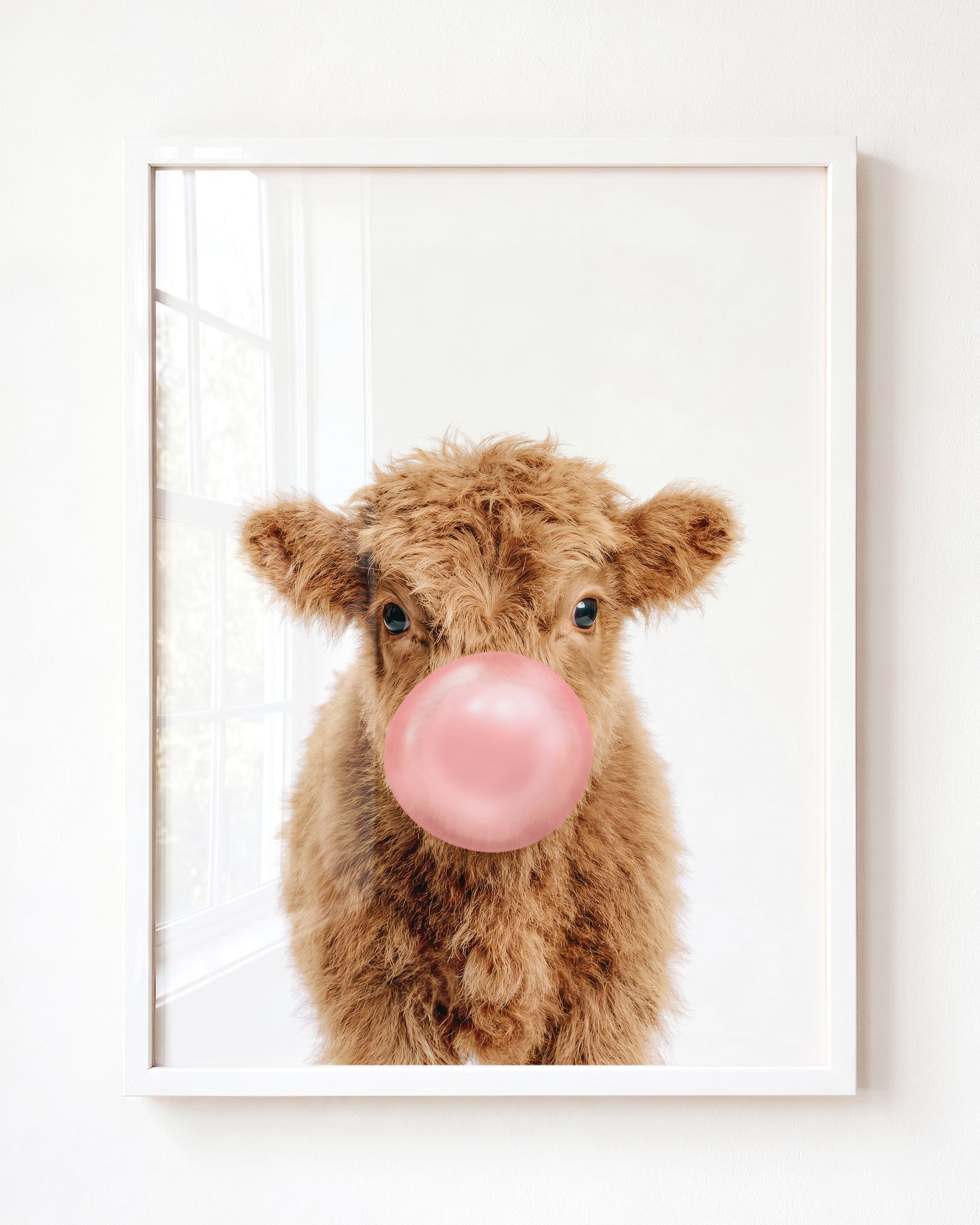 Baby Highland Cow
