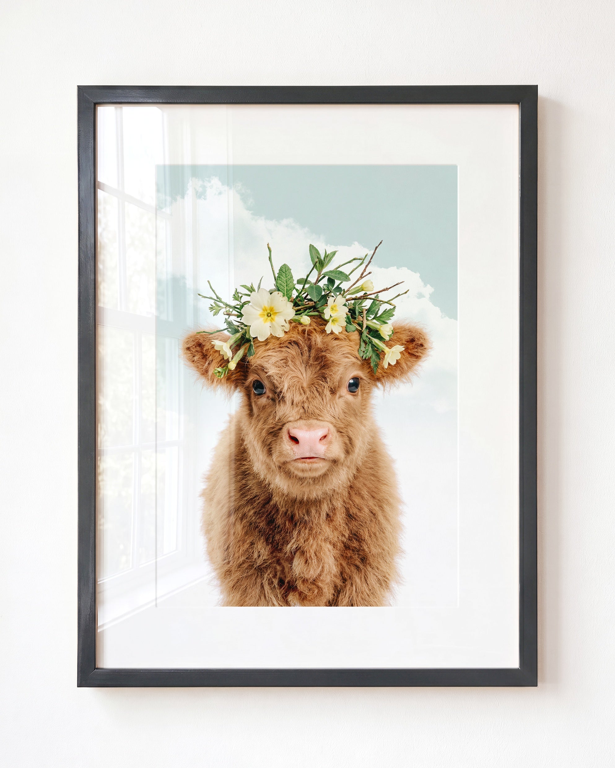 Baby Highland Cow