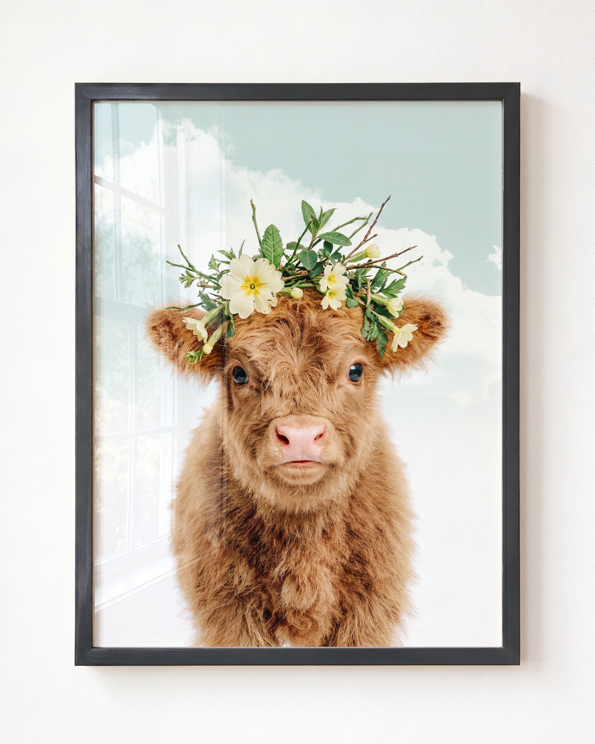Baby Highland Cow