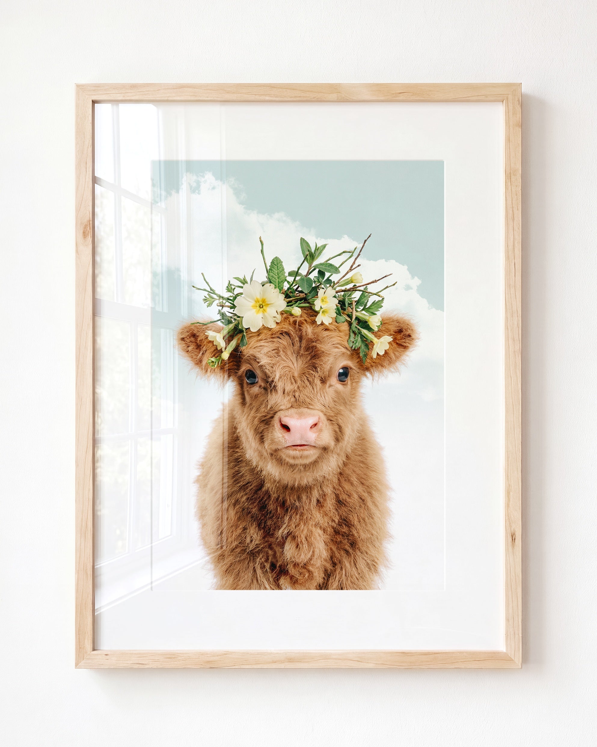 Baby Highland Cow
