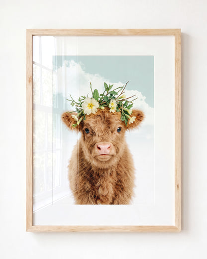 Baby Highland Cow