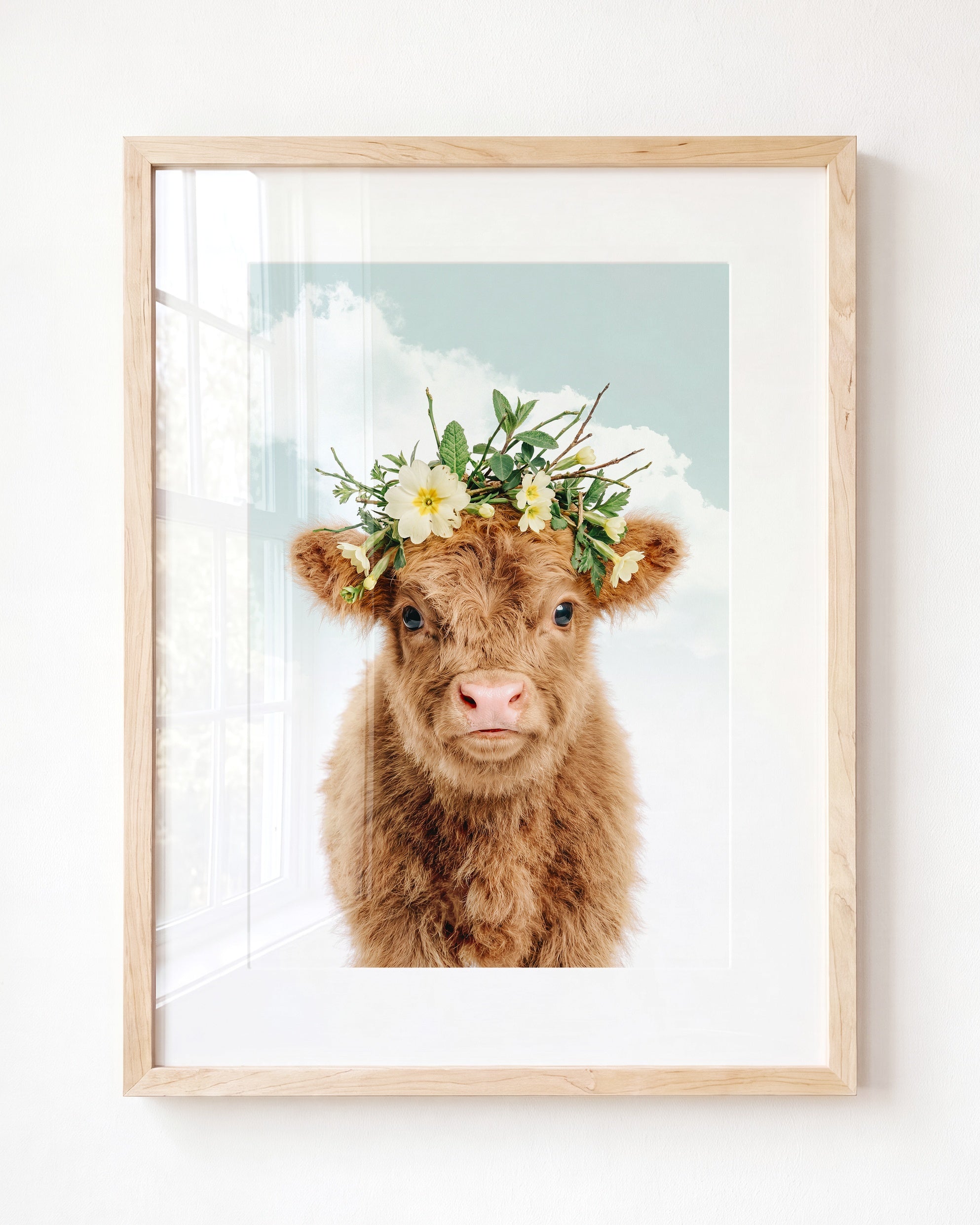 Baby Highland Cow