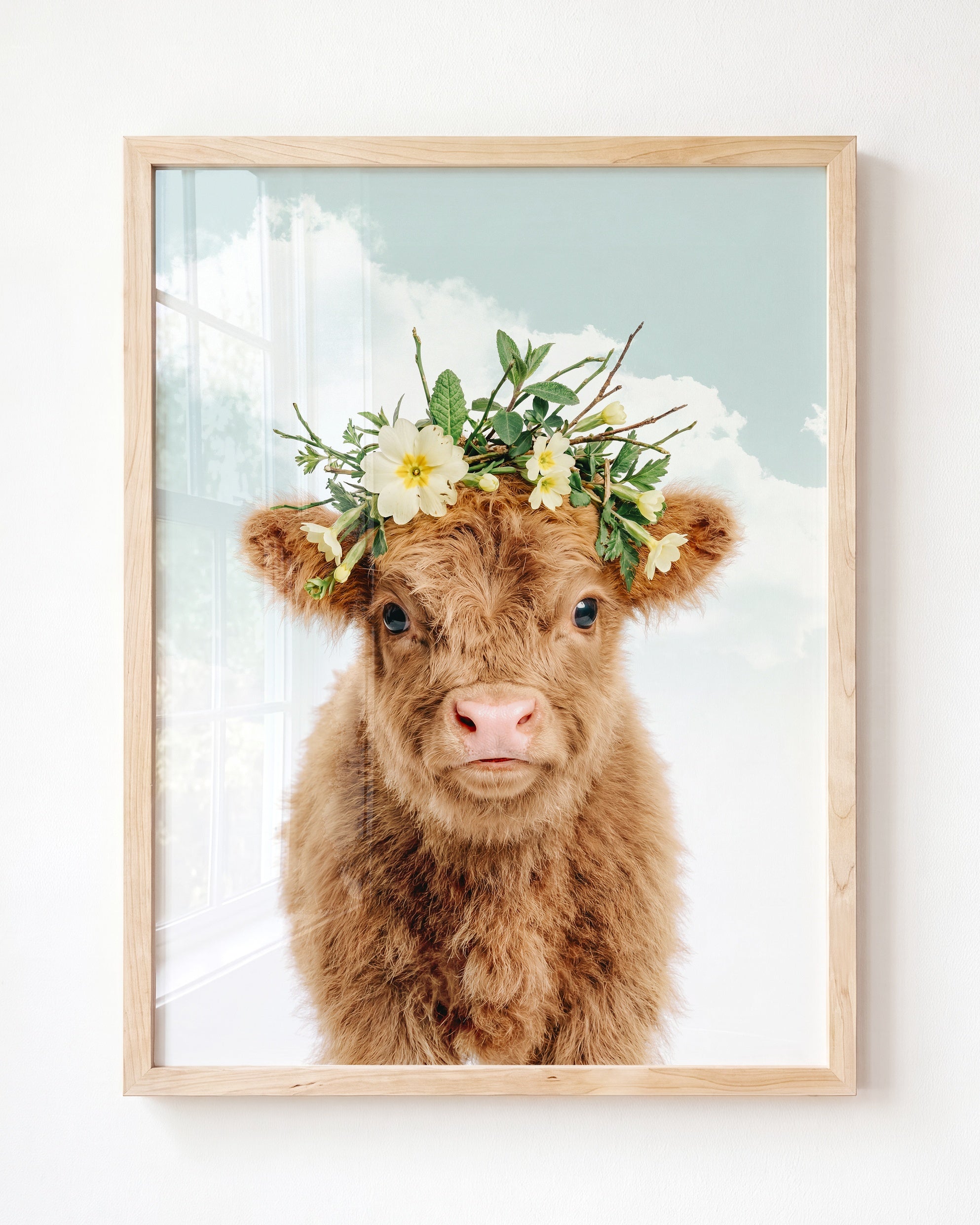 Baby Highland Cow
