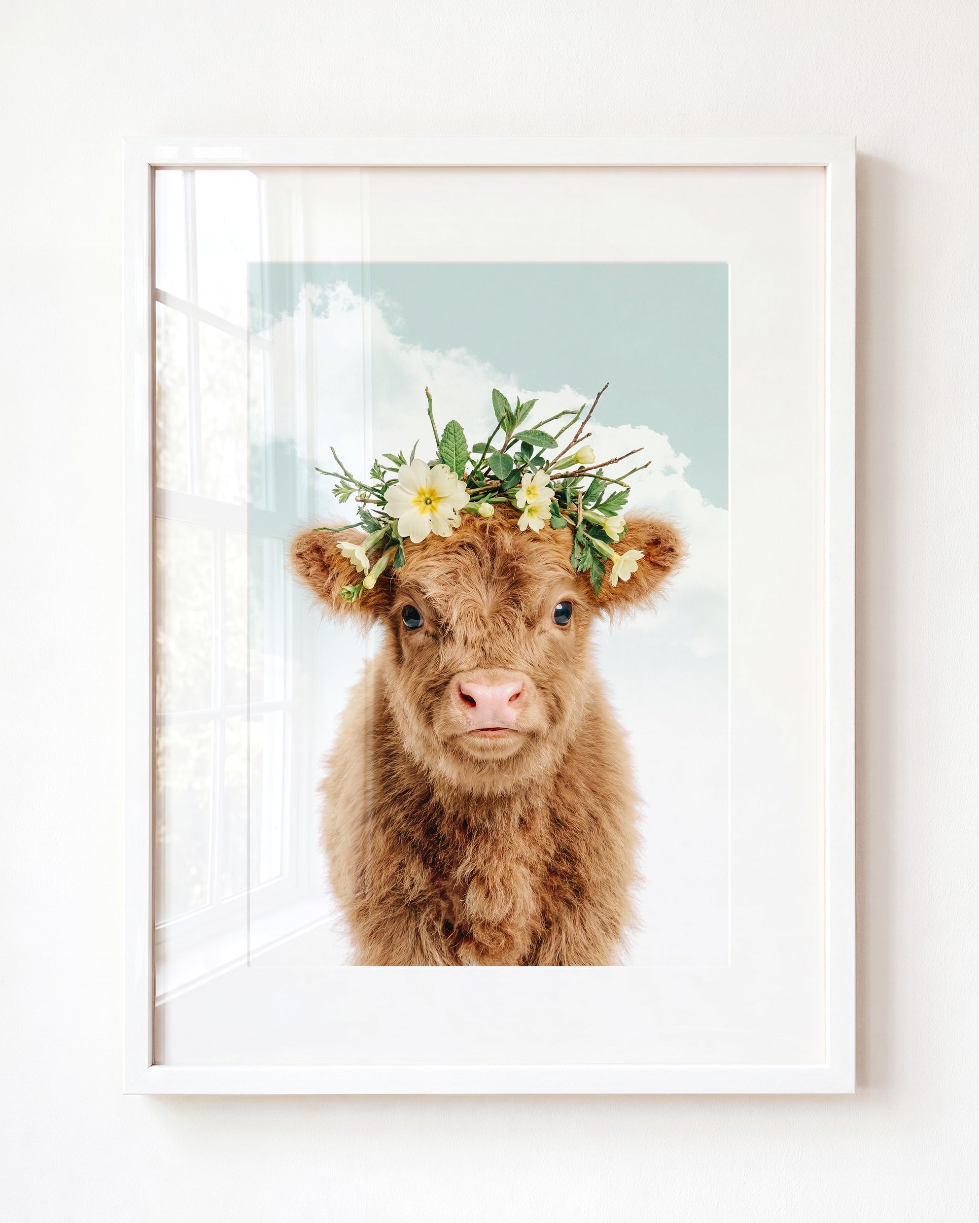 Baby Highland Cow
