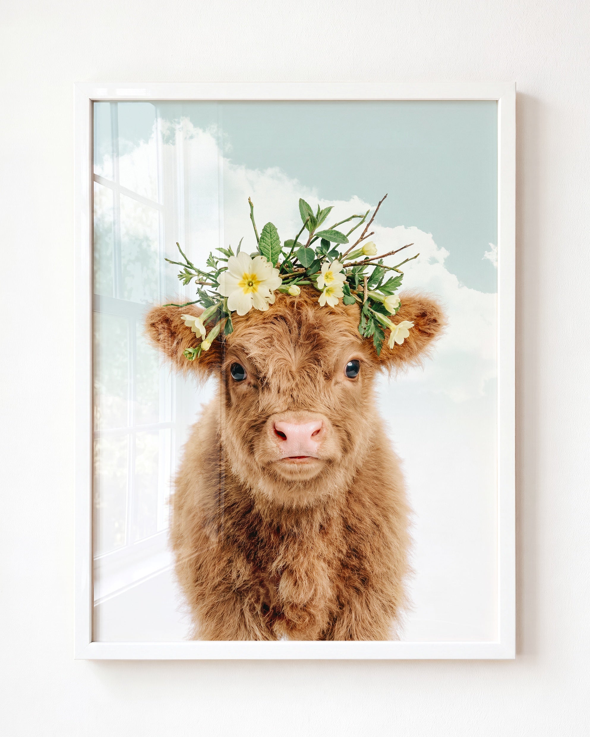 Baby Highland Cow