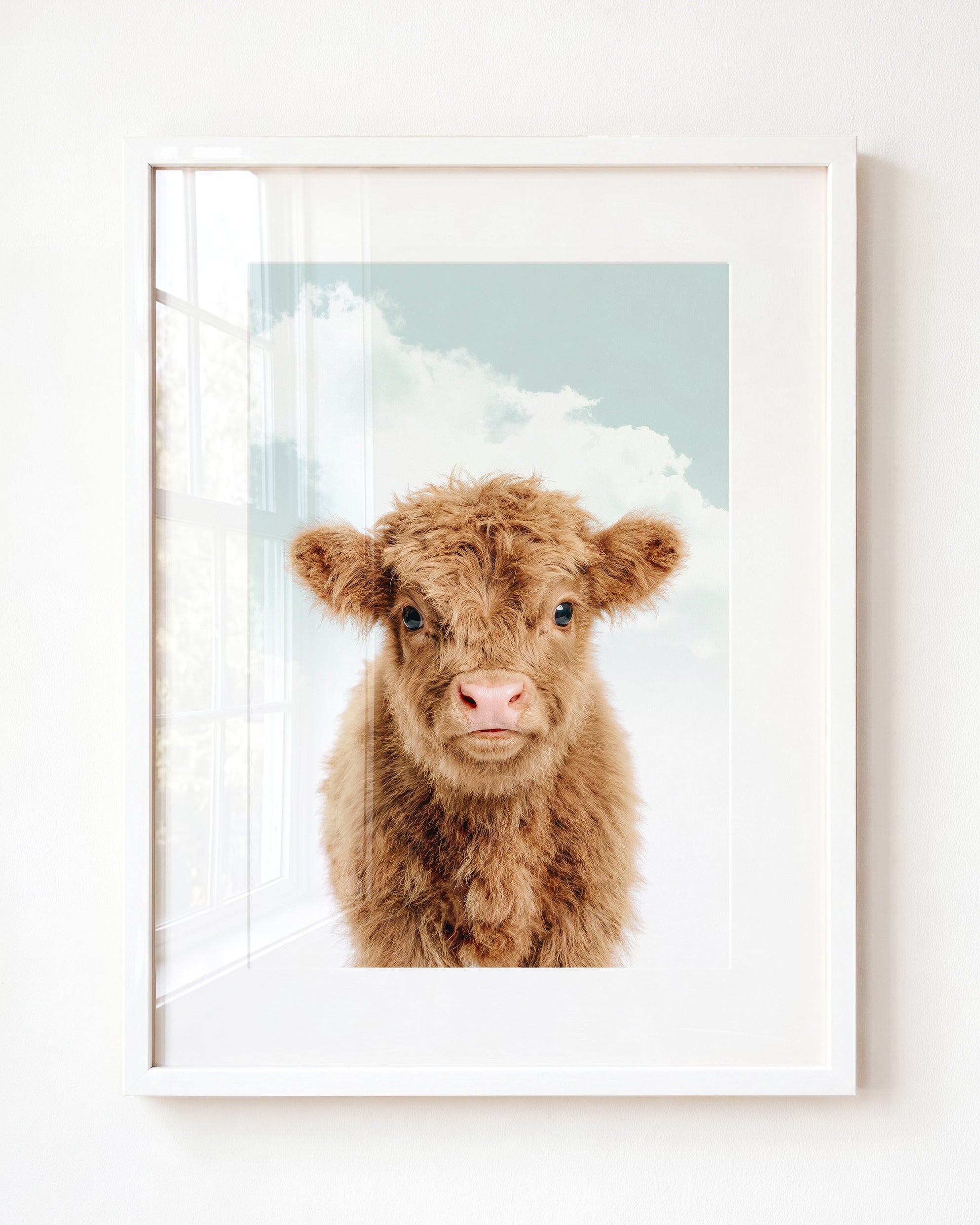 Baby Highland Cow