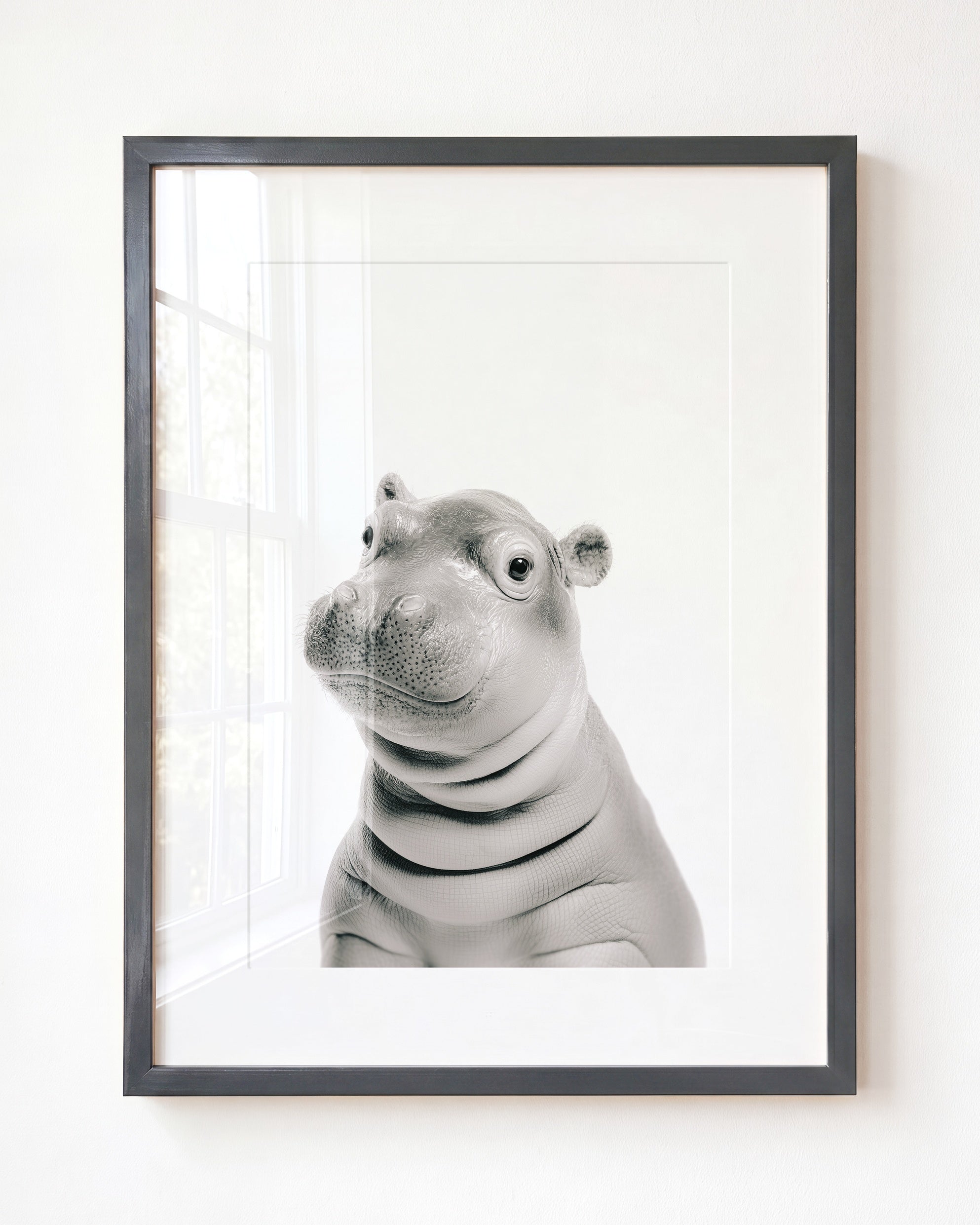 Baby Hippo