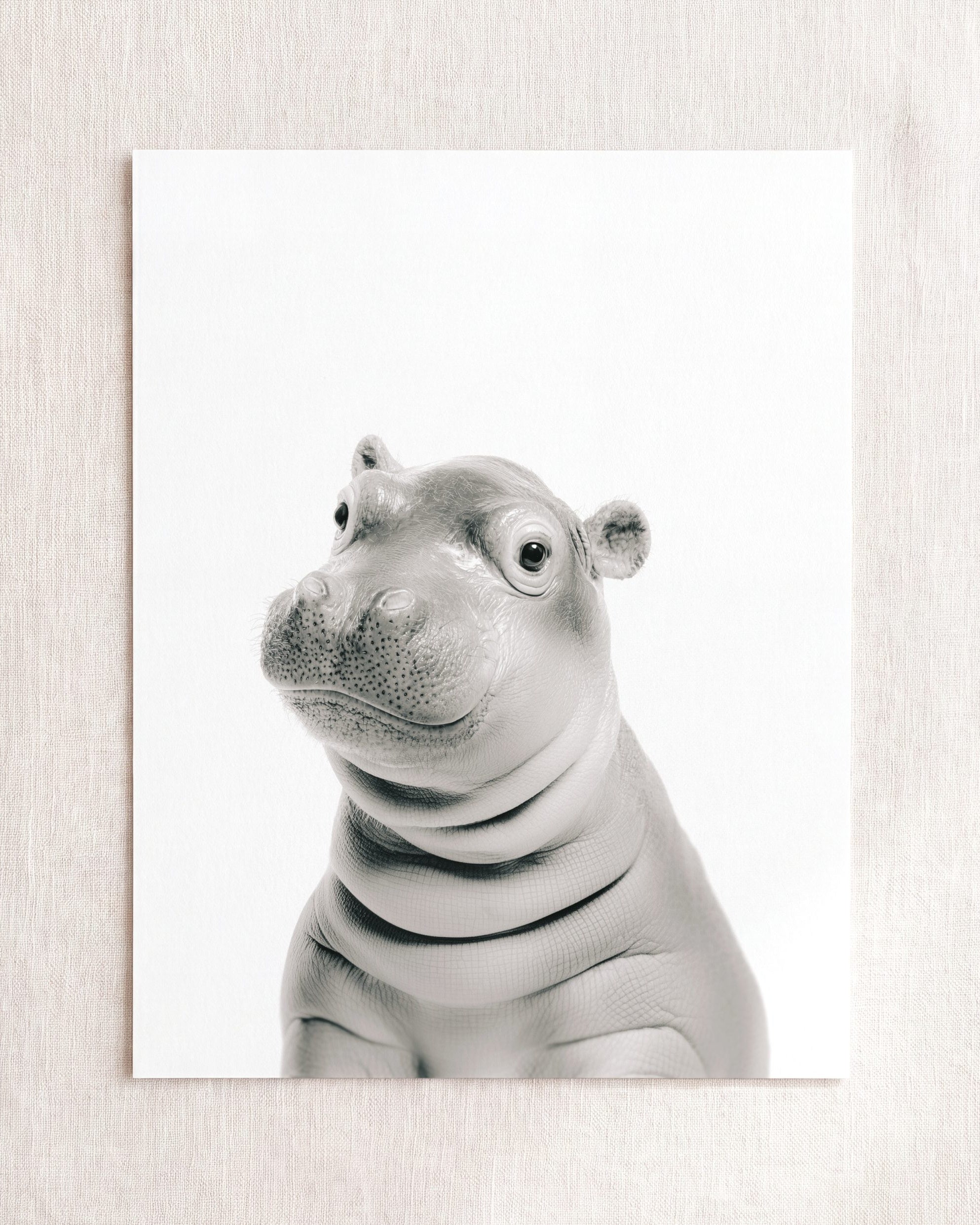 Baby Hippo