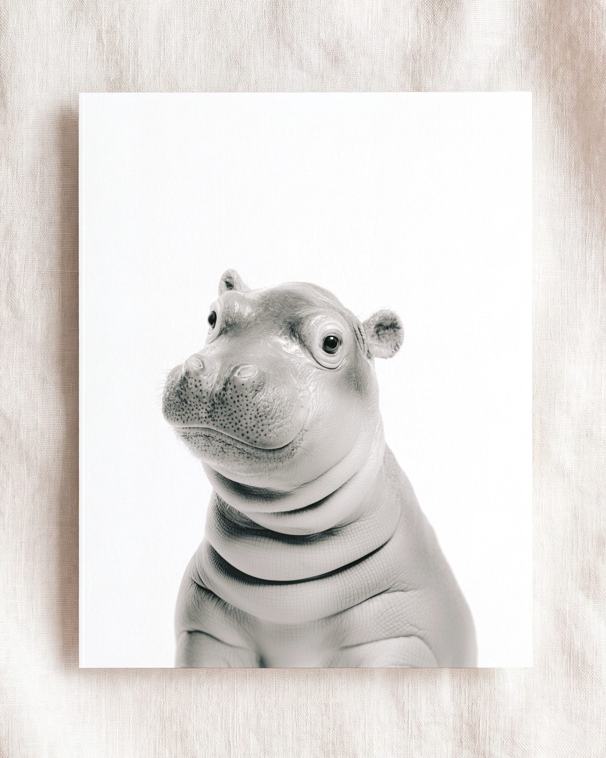 Baby Hippo