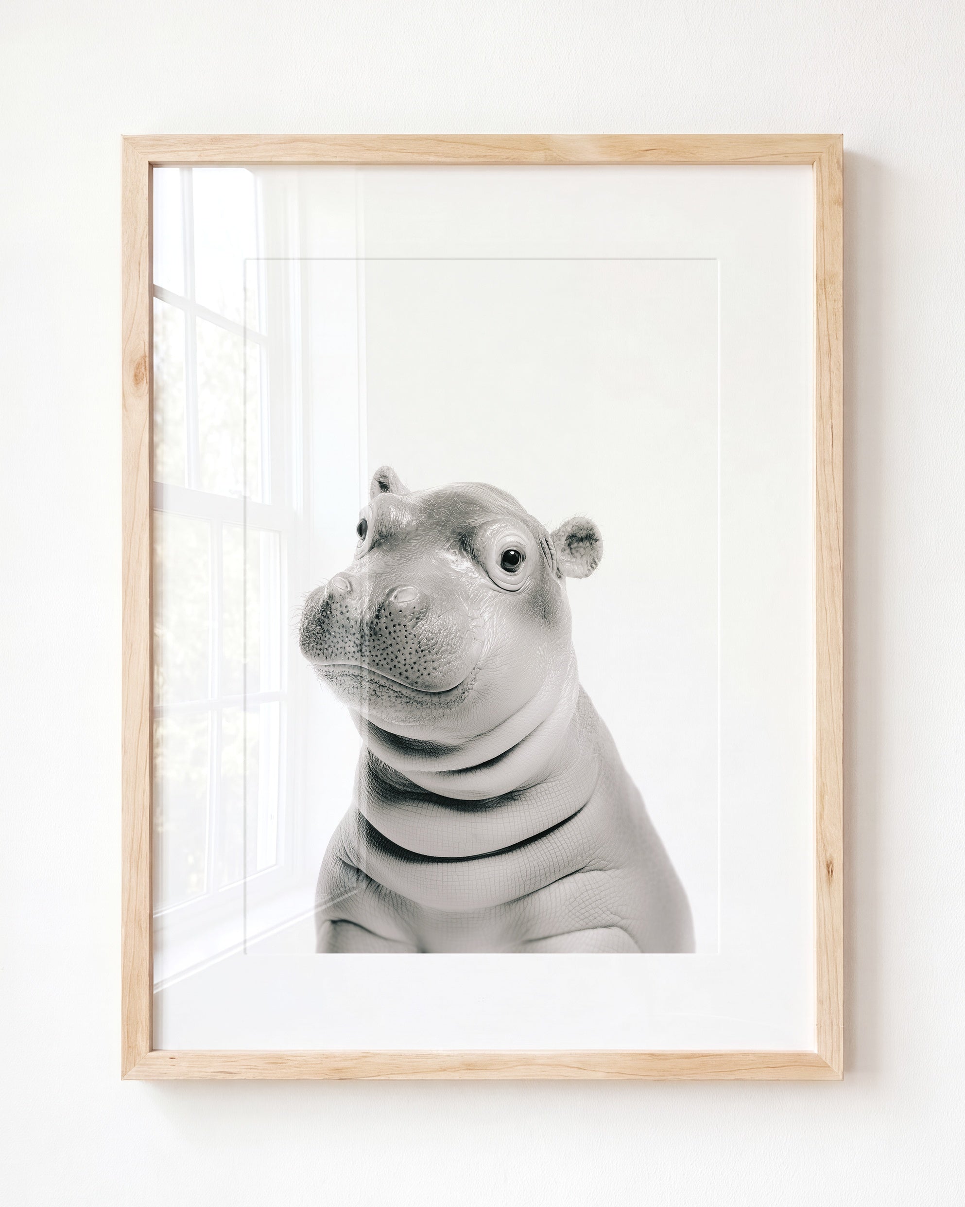 Baby Hippo