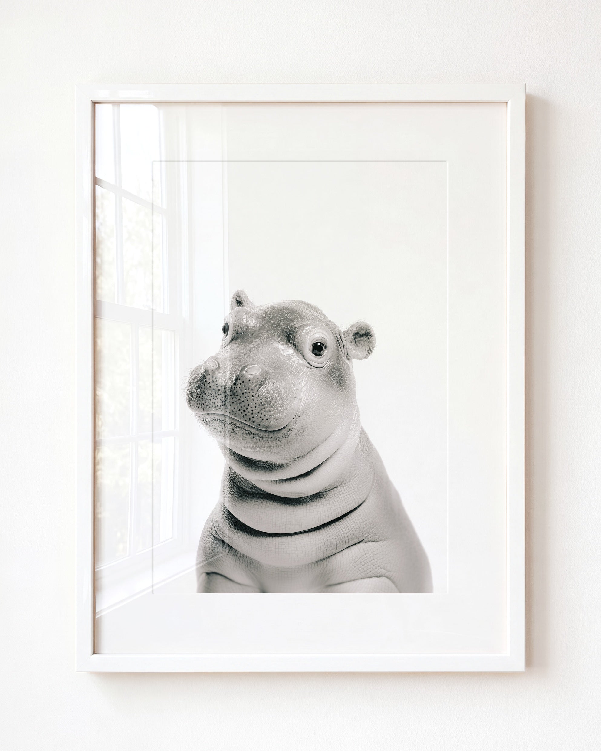 Baby Hippo
