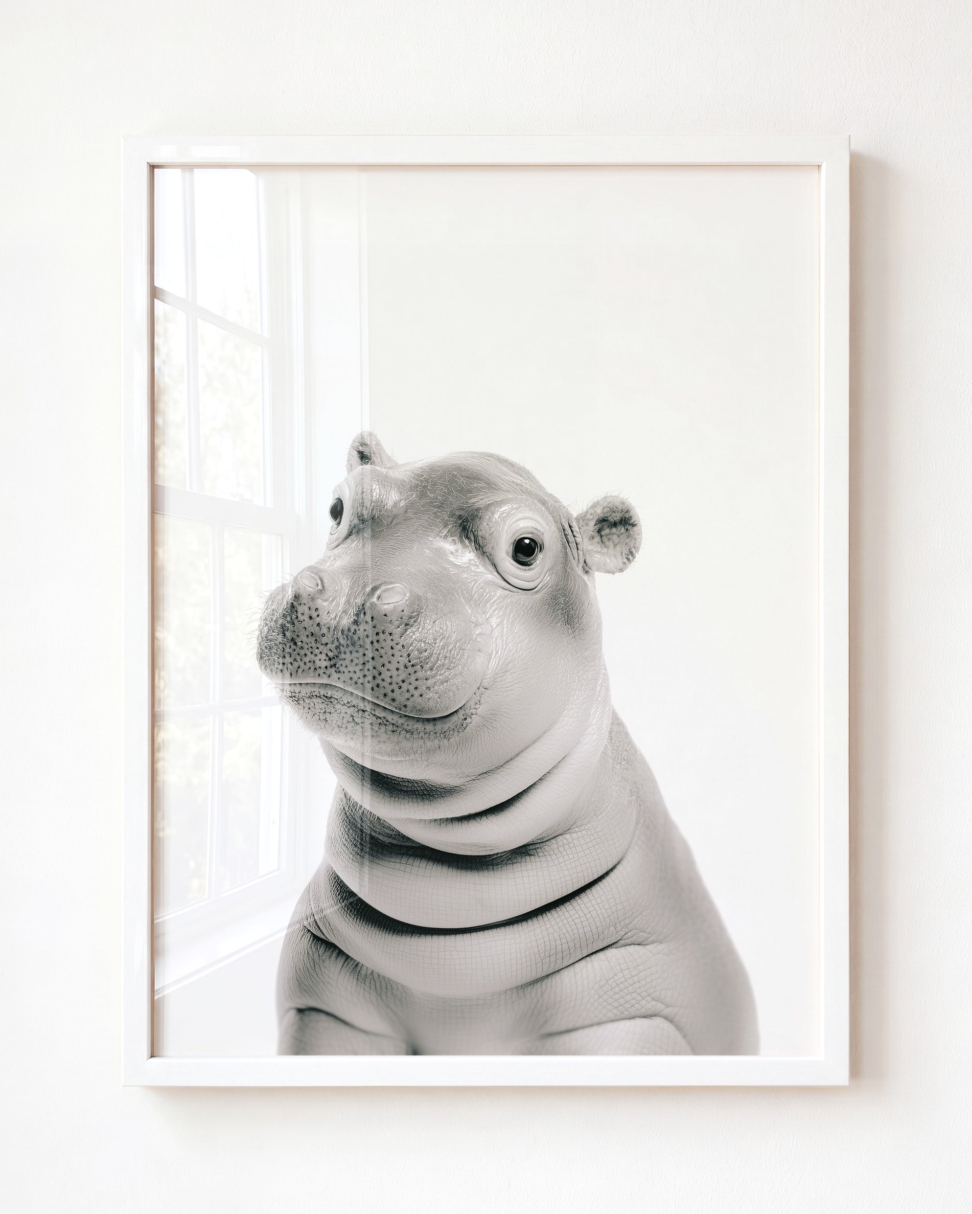Baby Hippo