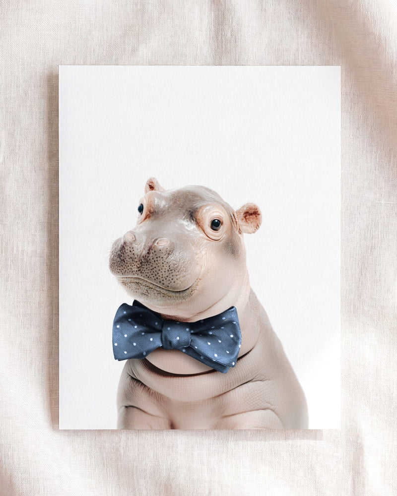 Bow Tie Cornflower