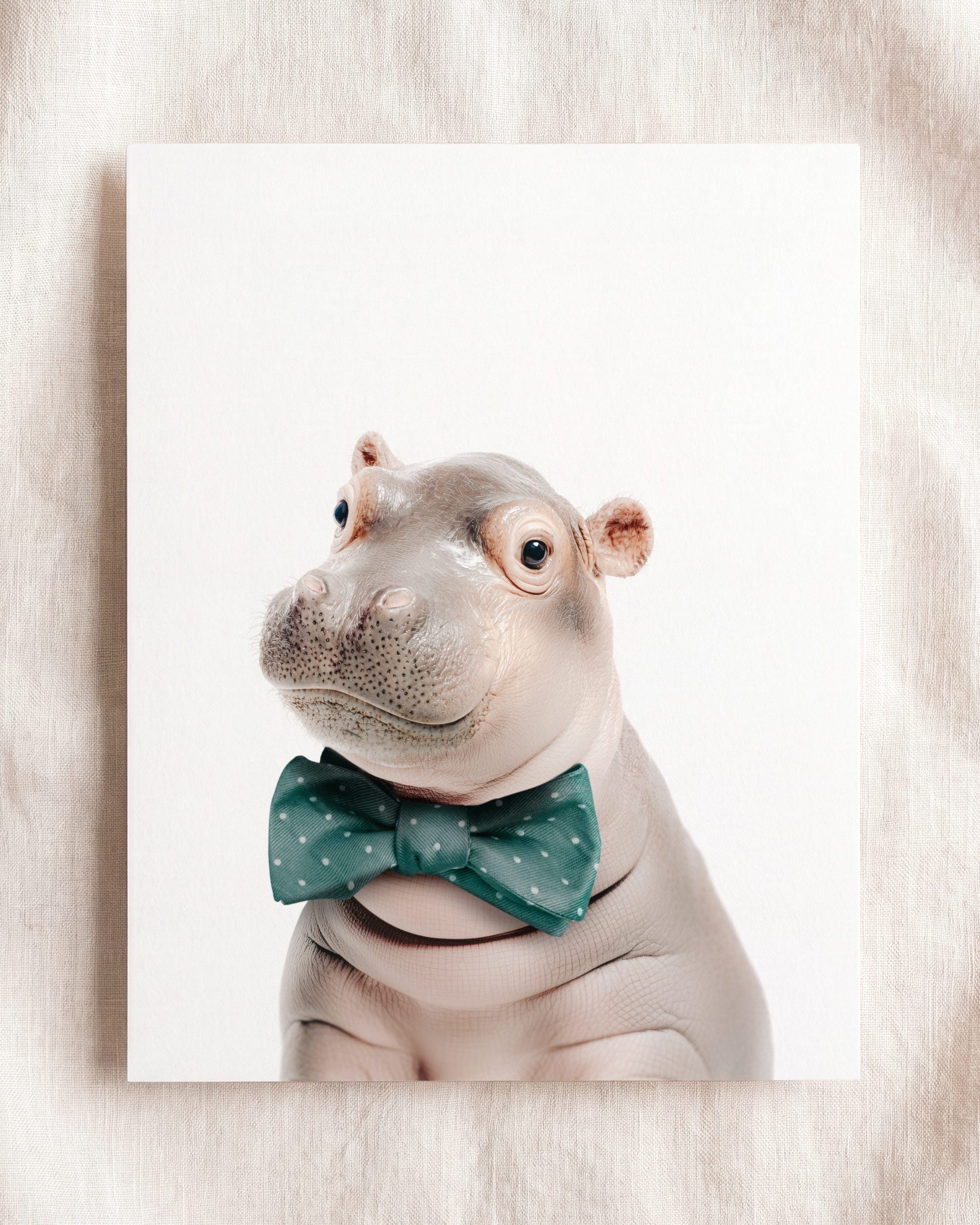 Baby Hippo