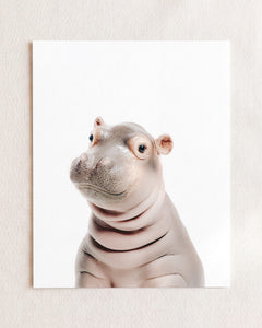 Baby Hippo