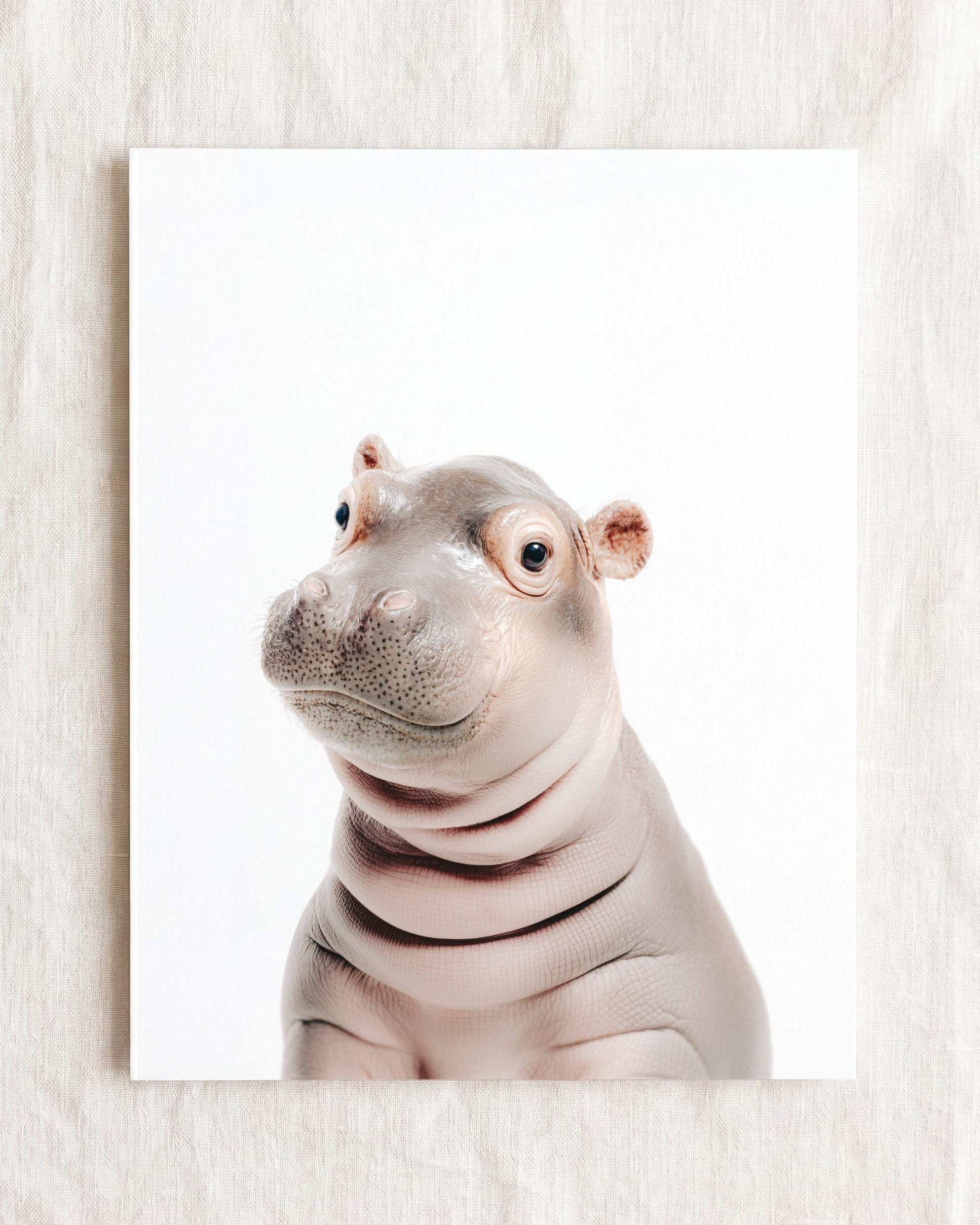Baby Hippo